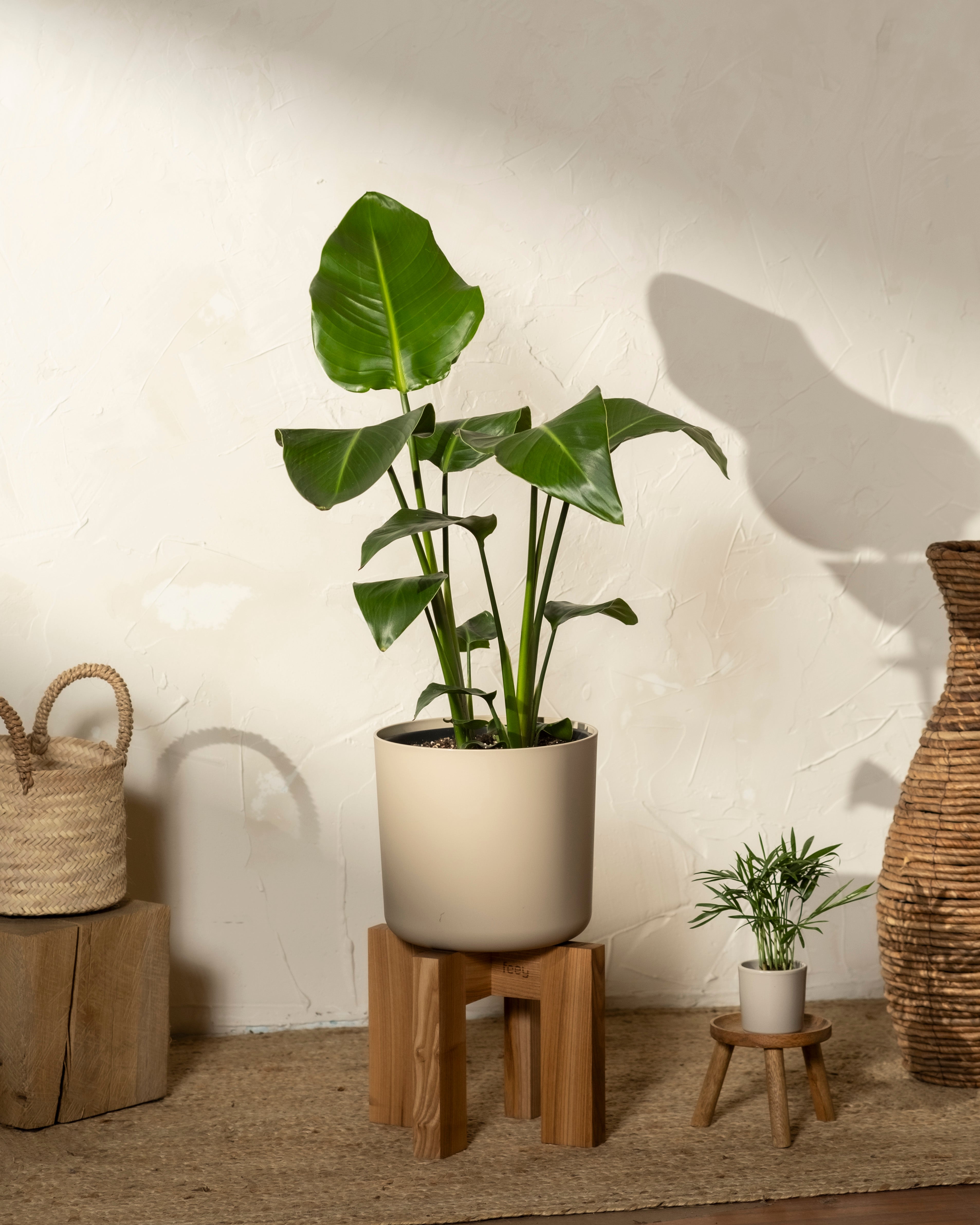 feey-lumi-kunststoff-topf-22-cm-wei-matt-modern image 5