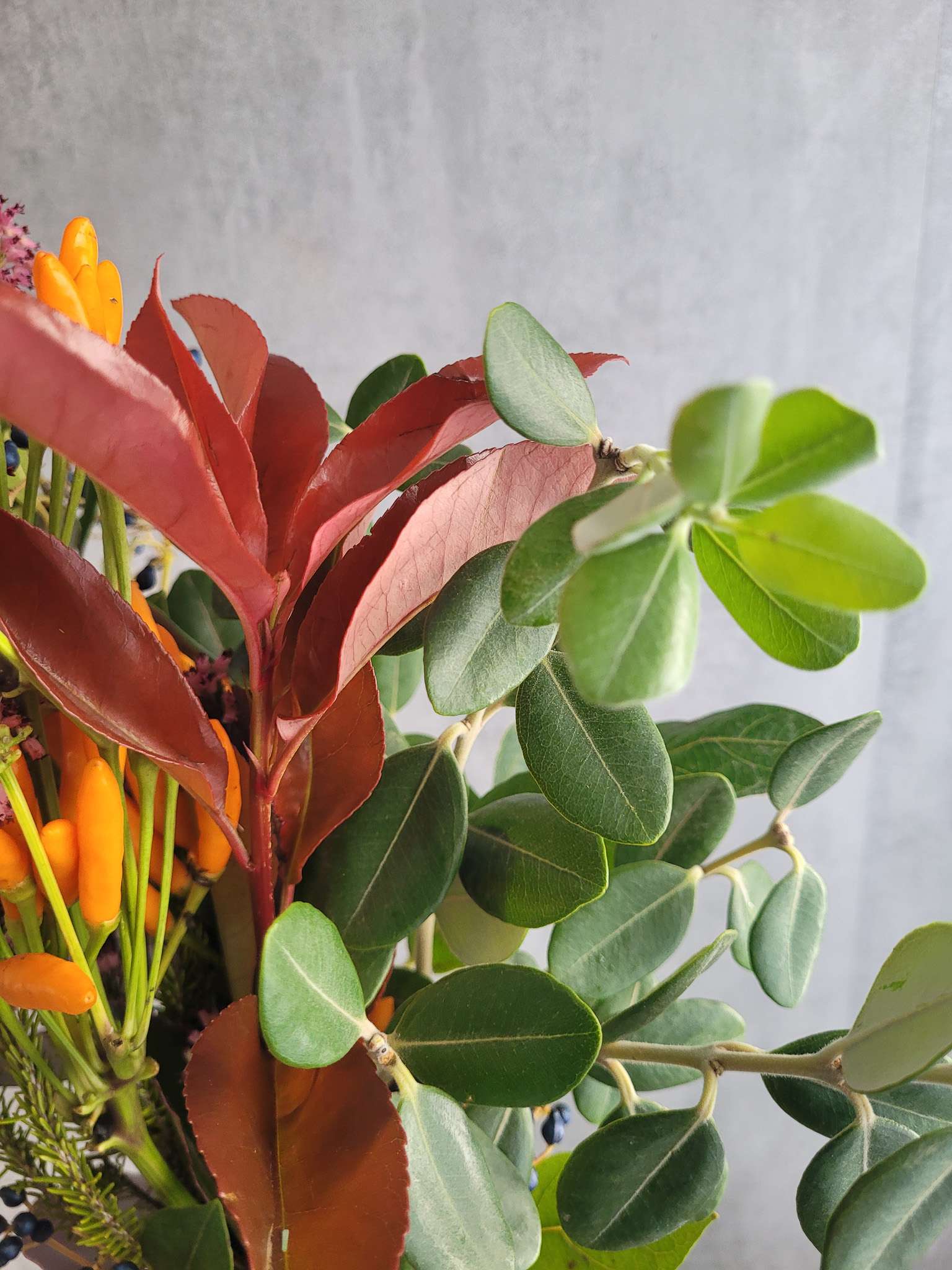 blumigo-greenery-italienischer-beerenmix-mediteraner-winter-gr-n image 3