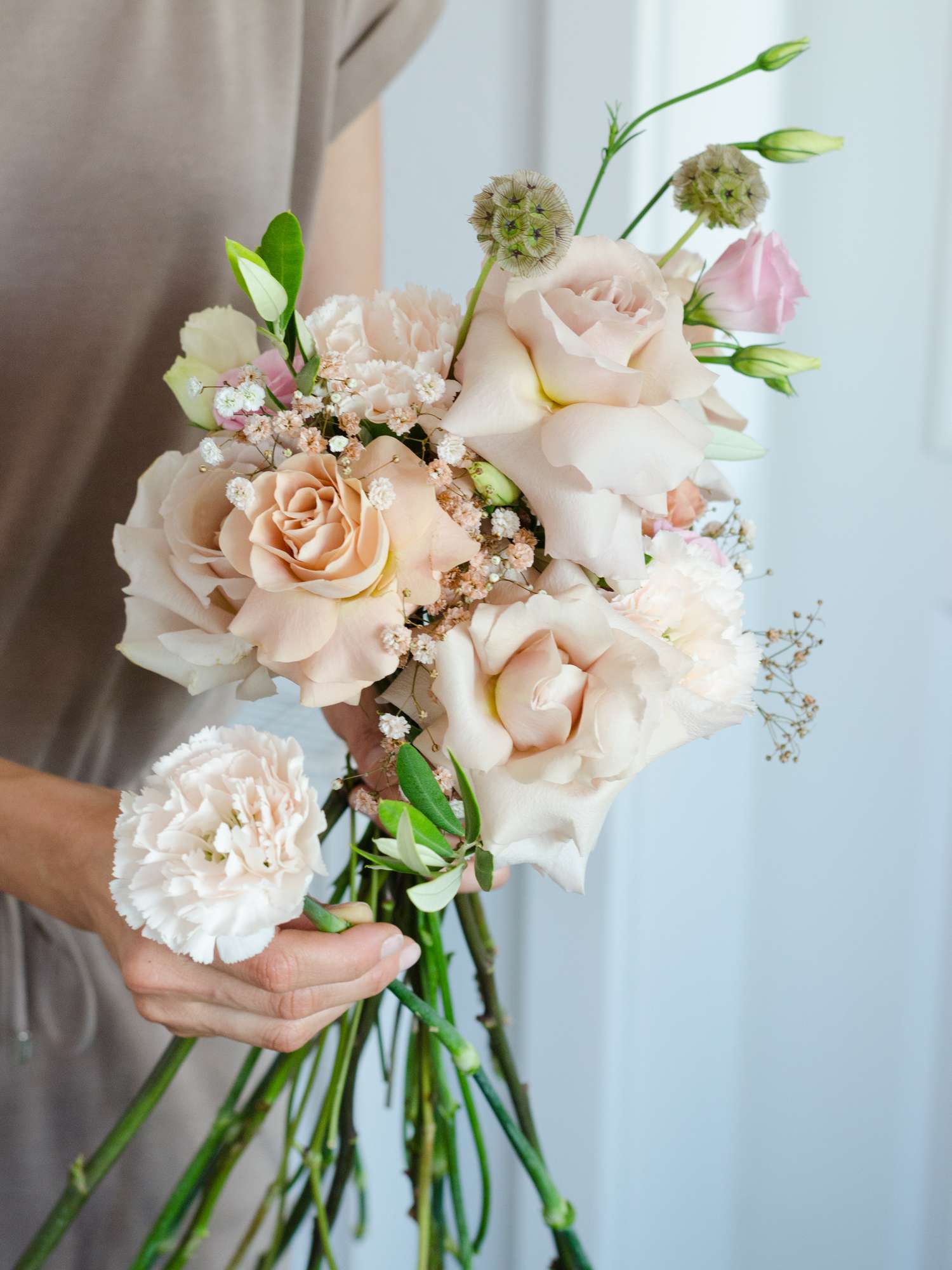 blumigo-brut-edelnelke-creme-apricot-frische-schnittblume image 4
