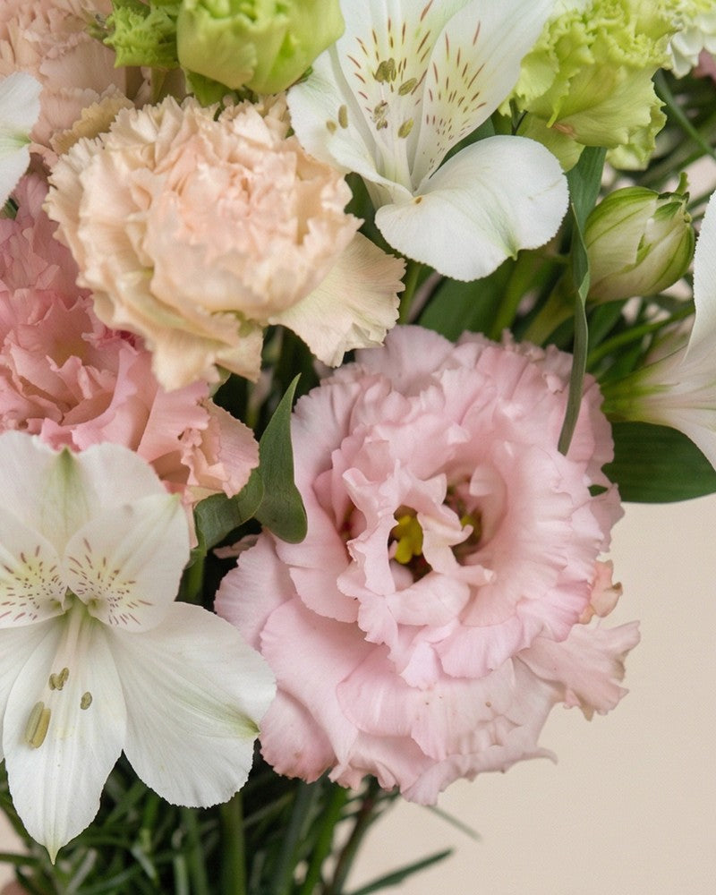 feey-rilio-picknickzeit-blumenstrauss-classic-bunt image 6