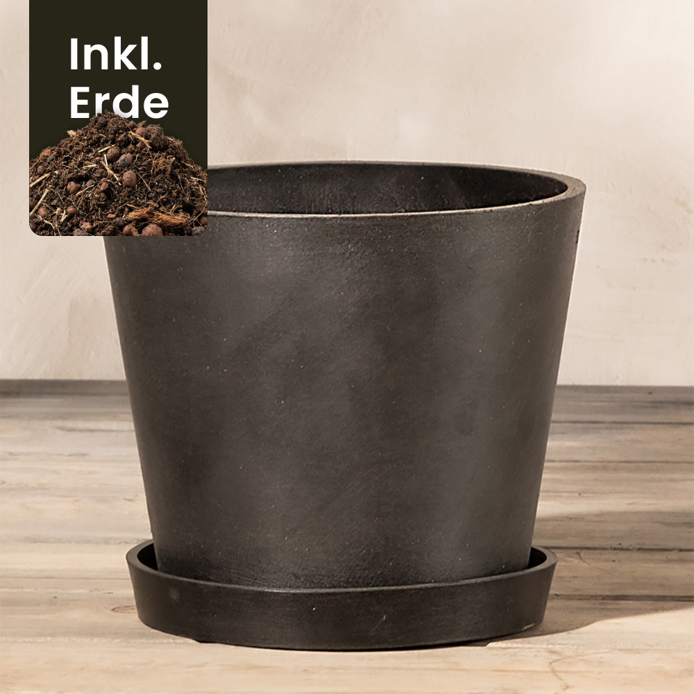 feey-amsterdam-pflanzk-bel-20-cm-taupe-mit-drainage image 6