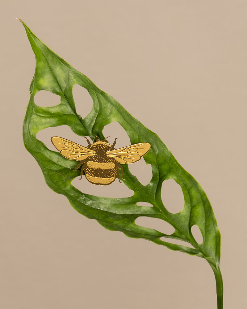 feey-lumi-hummel-pflanzenanh-nger-deko-f-r-zimmerpflanzen image 3