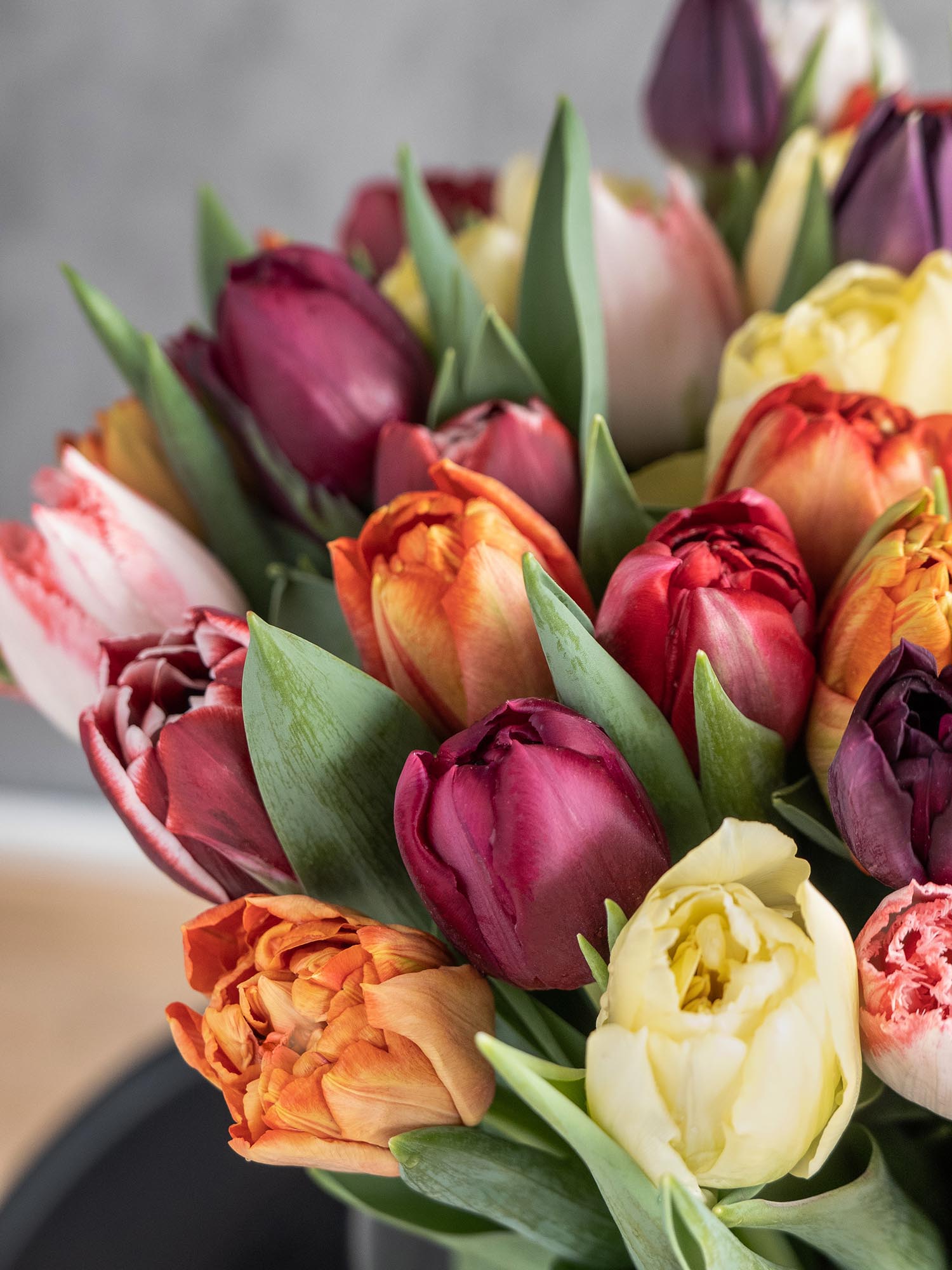 blumigo-berraschungsmixe-50-tulpen-schnittblumen-bunt-gemischt image 4