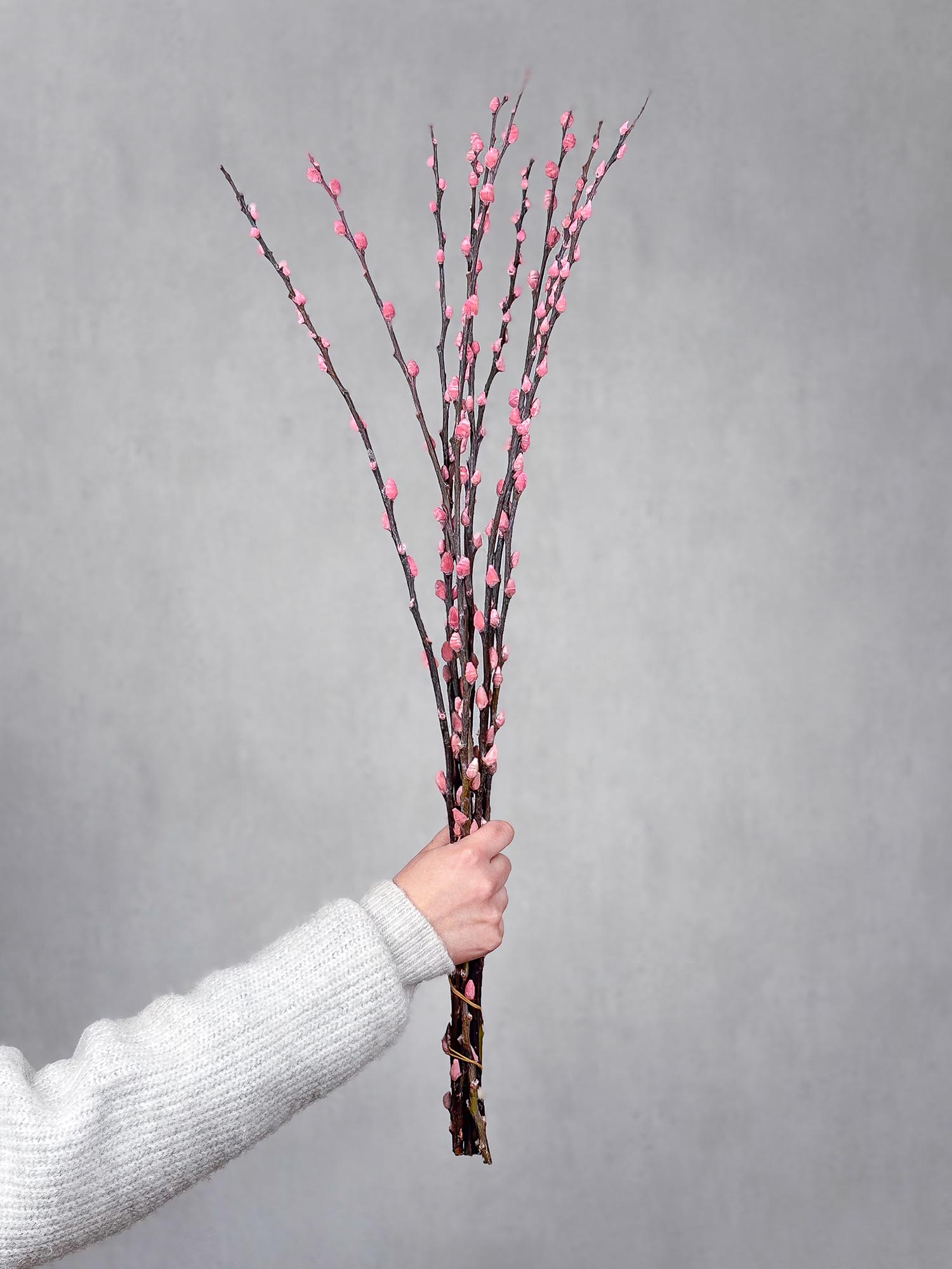 blumigo-zweige-weidenk-tzchen-gef-rbt-rosa-zweigbund image 1