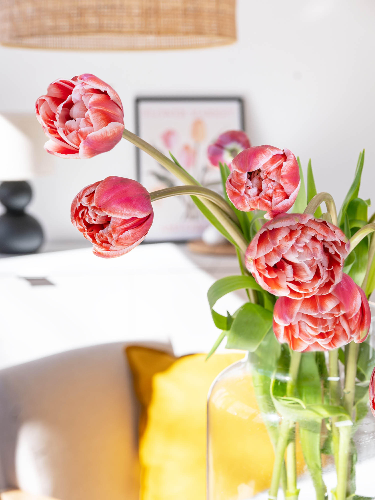 blumigo-tulpen-drumline-gef-llt-schnittblume-pink-creme-1-stiel image 2