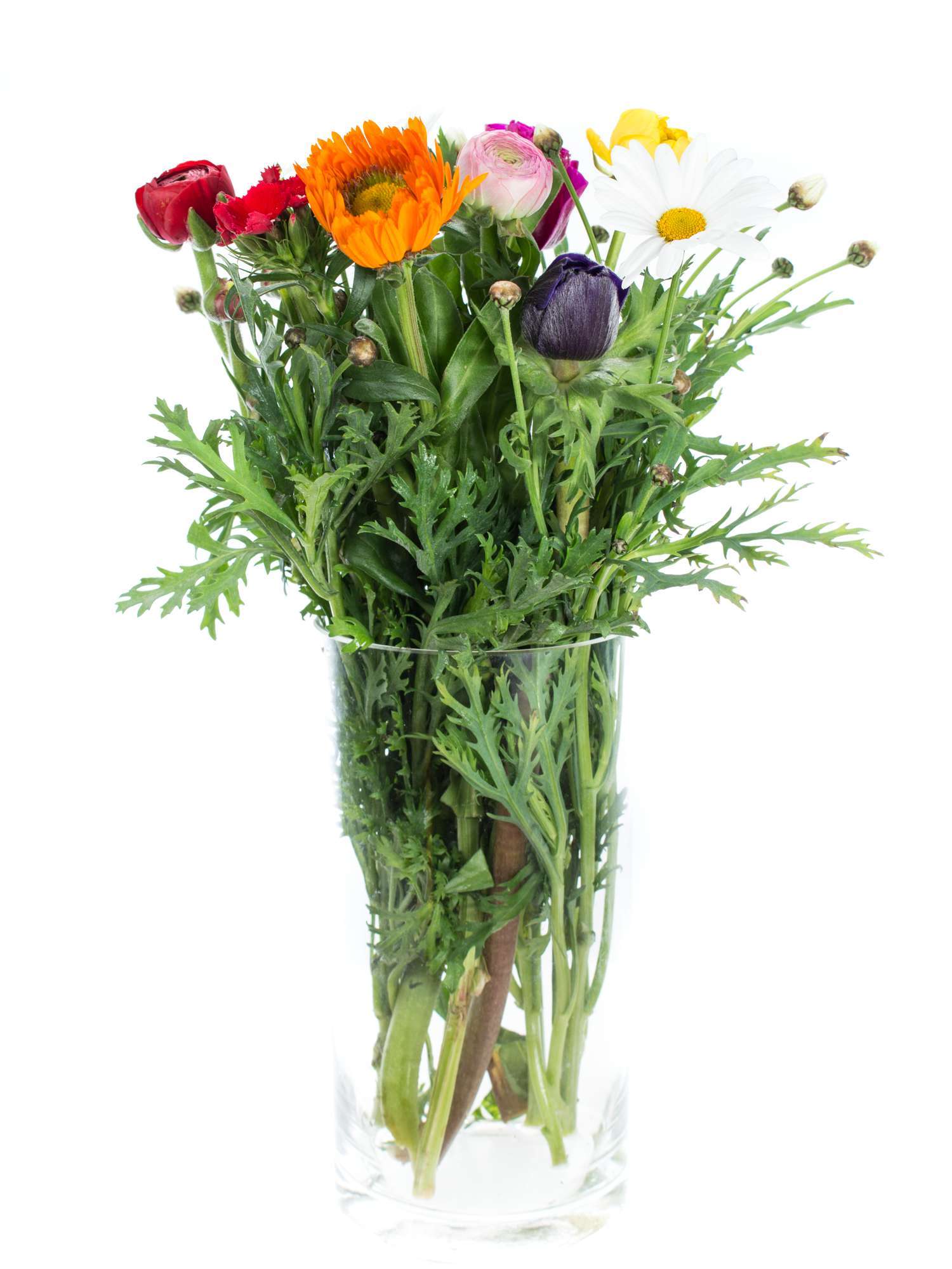blumigo-berraschungsmix-italienische-fr-hlingsmischung image 4