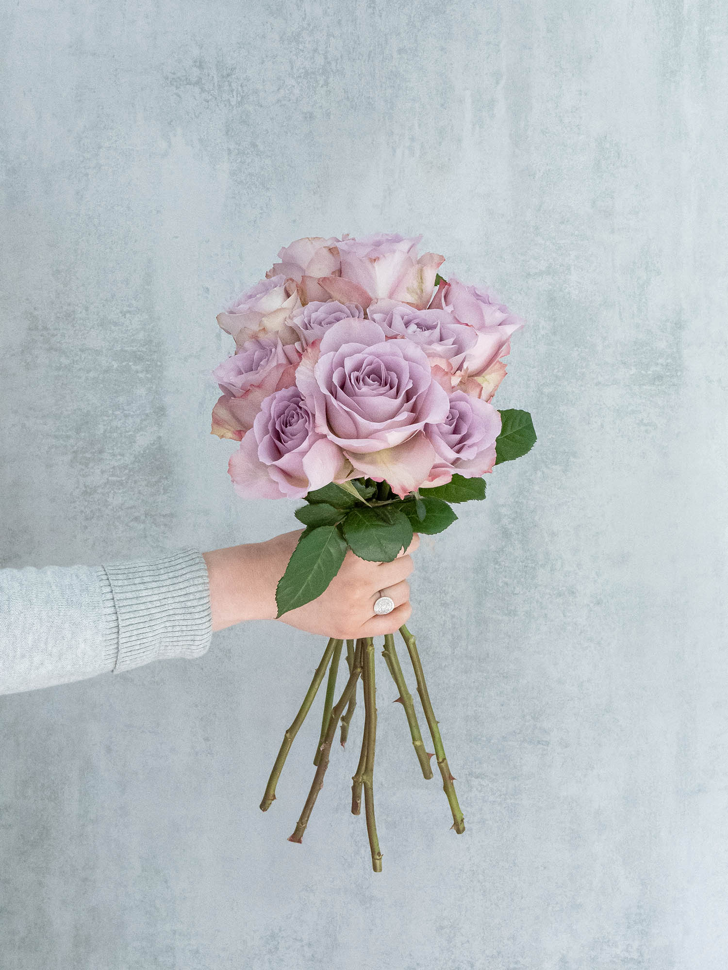 blumigo-rosen-memory-lane-rose-lila-flieder-dezent-duftend image 4