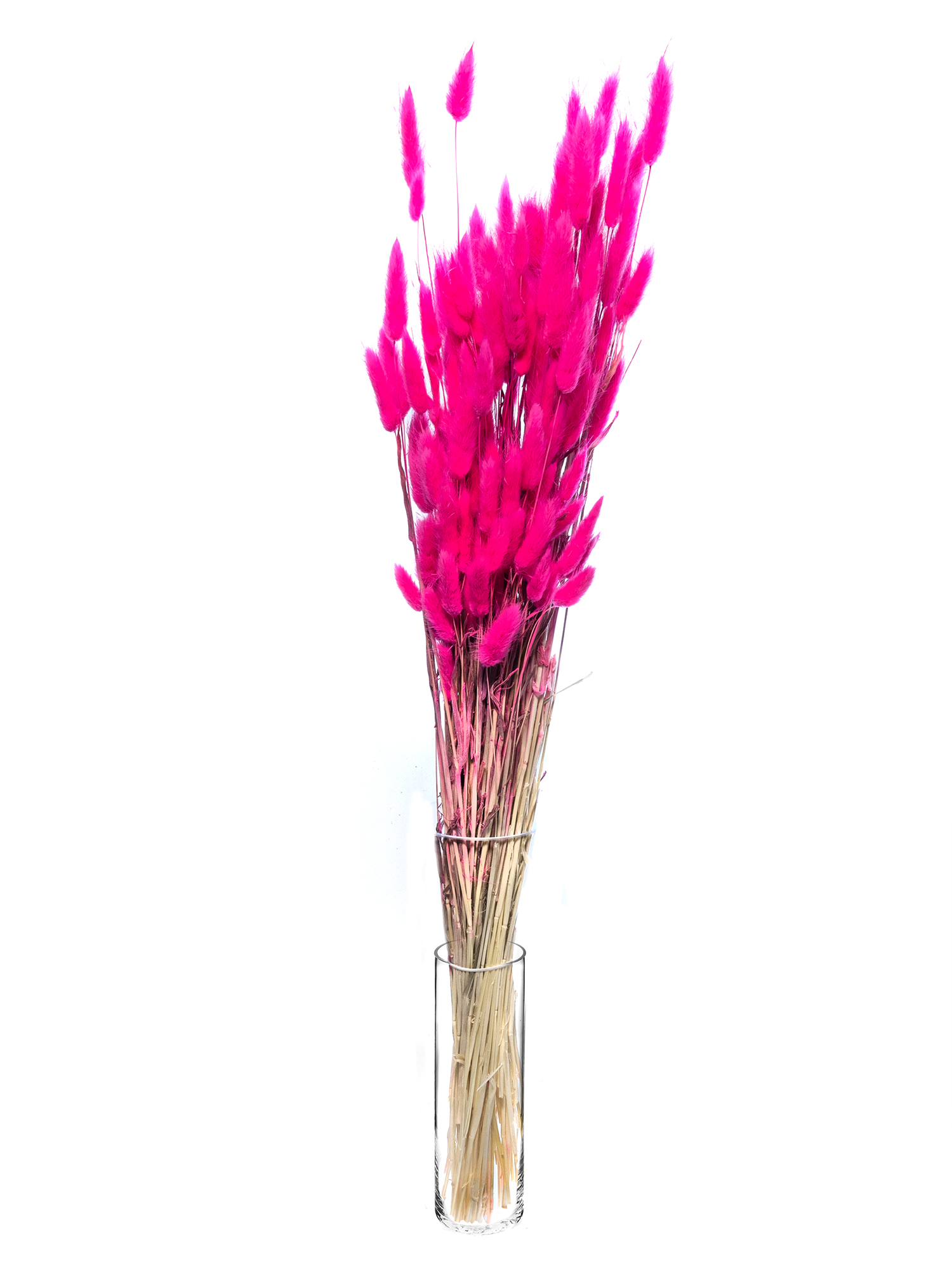 blumigo-trockenblumen-lagurus-samtgras-pink image 2