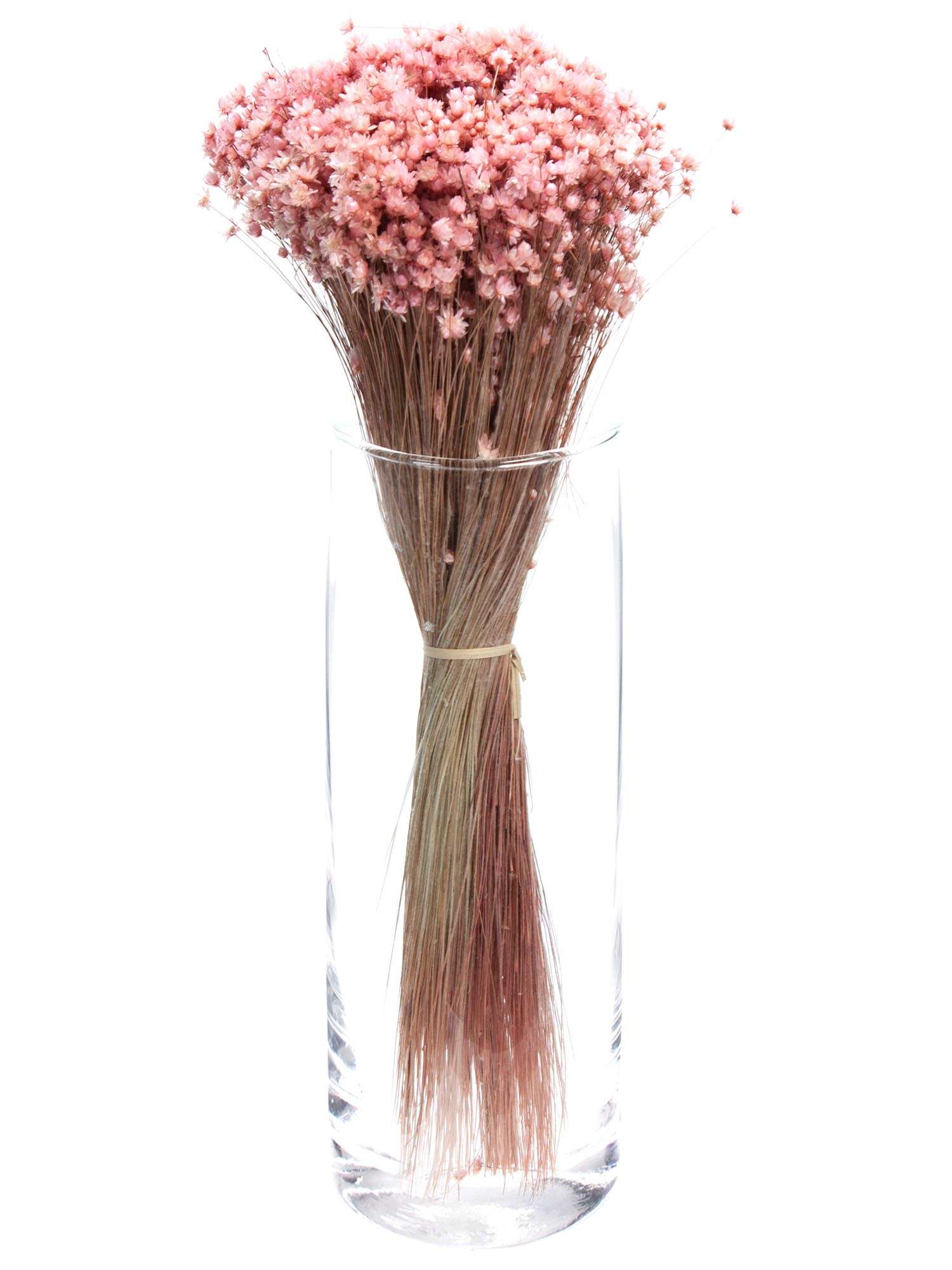blumigo-trockenblumen-marcela-getrocknet-alt-ros-bund image 3
