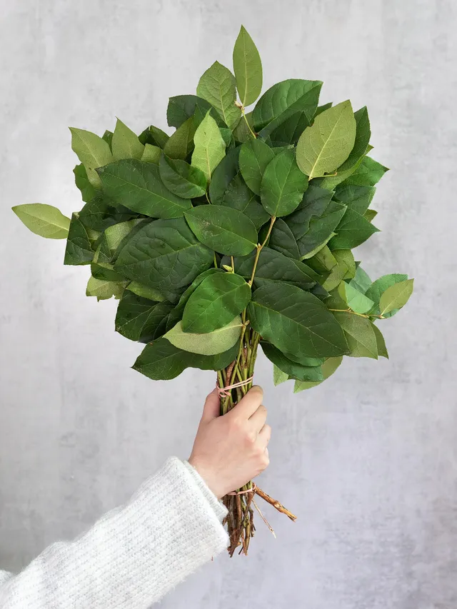 blumigo-salal-exklusives-greenery-schnittgr-n-haltbar image 1