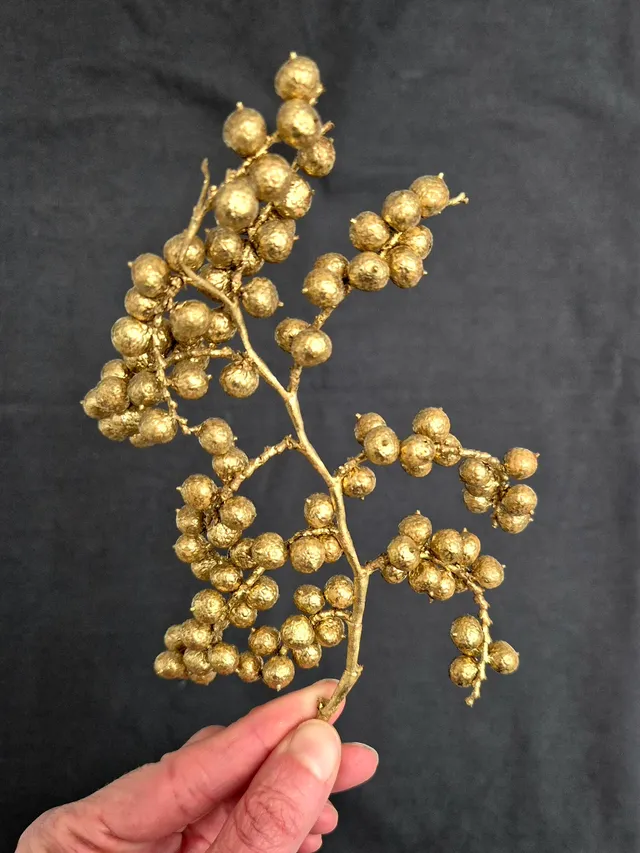 blumigo-canella-trockenblume-gold-getrocknet image 1