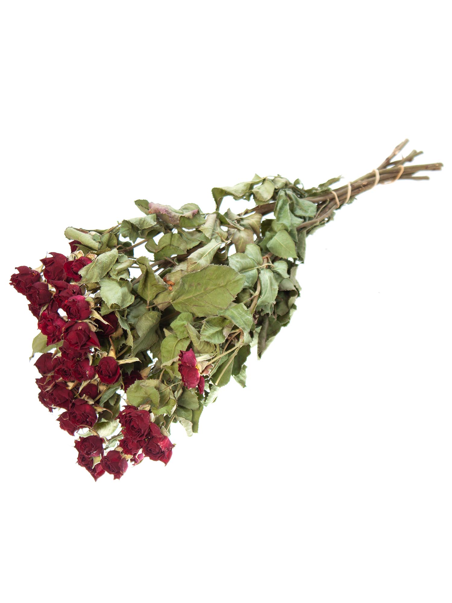 blumigo-verzweigte-rosen-trockenblumen-getrocknet-dunkelrot image 3