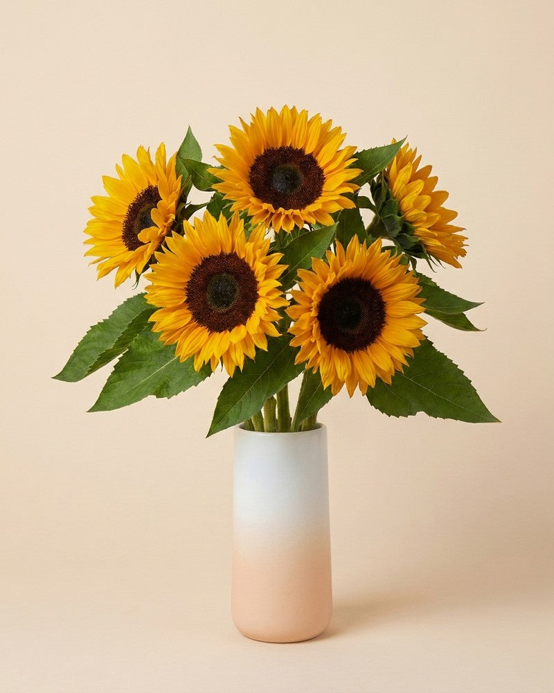 feey-sonnenblumen-strau-gelb-5-stk-schnittblumen image 5