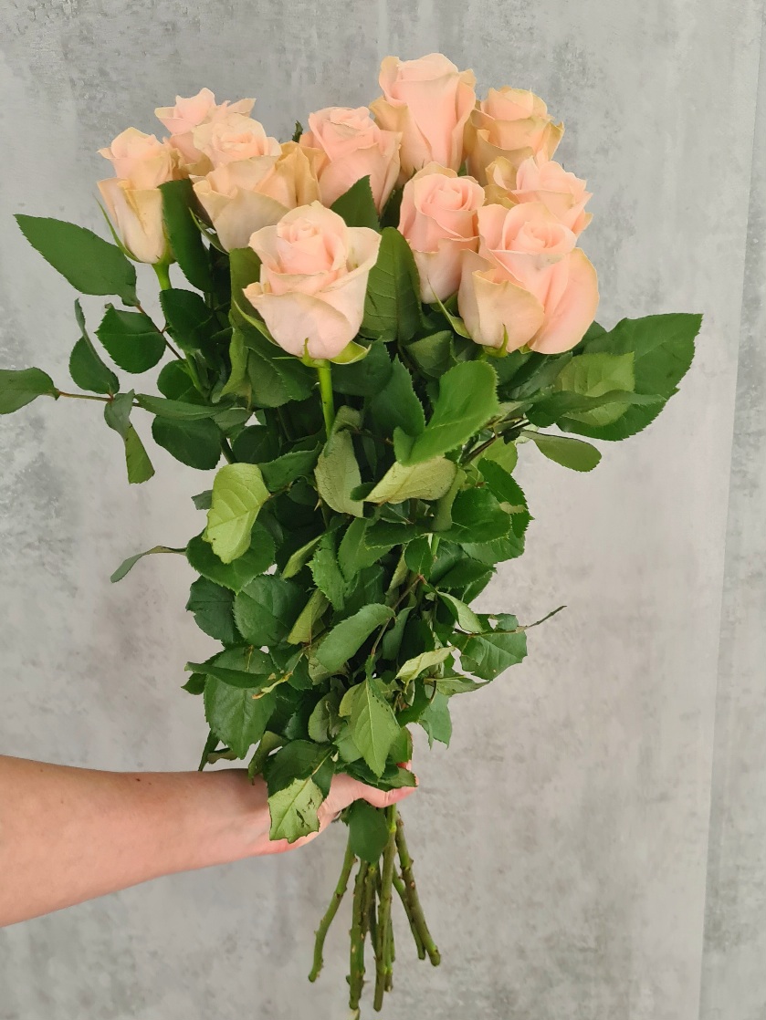 blumigo-rosen-pomarosa-rose-rosa-apricot-einzelner-stiel image 2