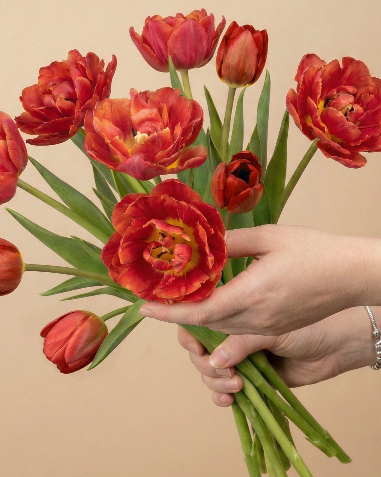 feey-rilio-tulpen-herzklopfen-10-stk-tiefrot-schnittblumen image 1