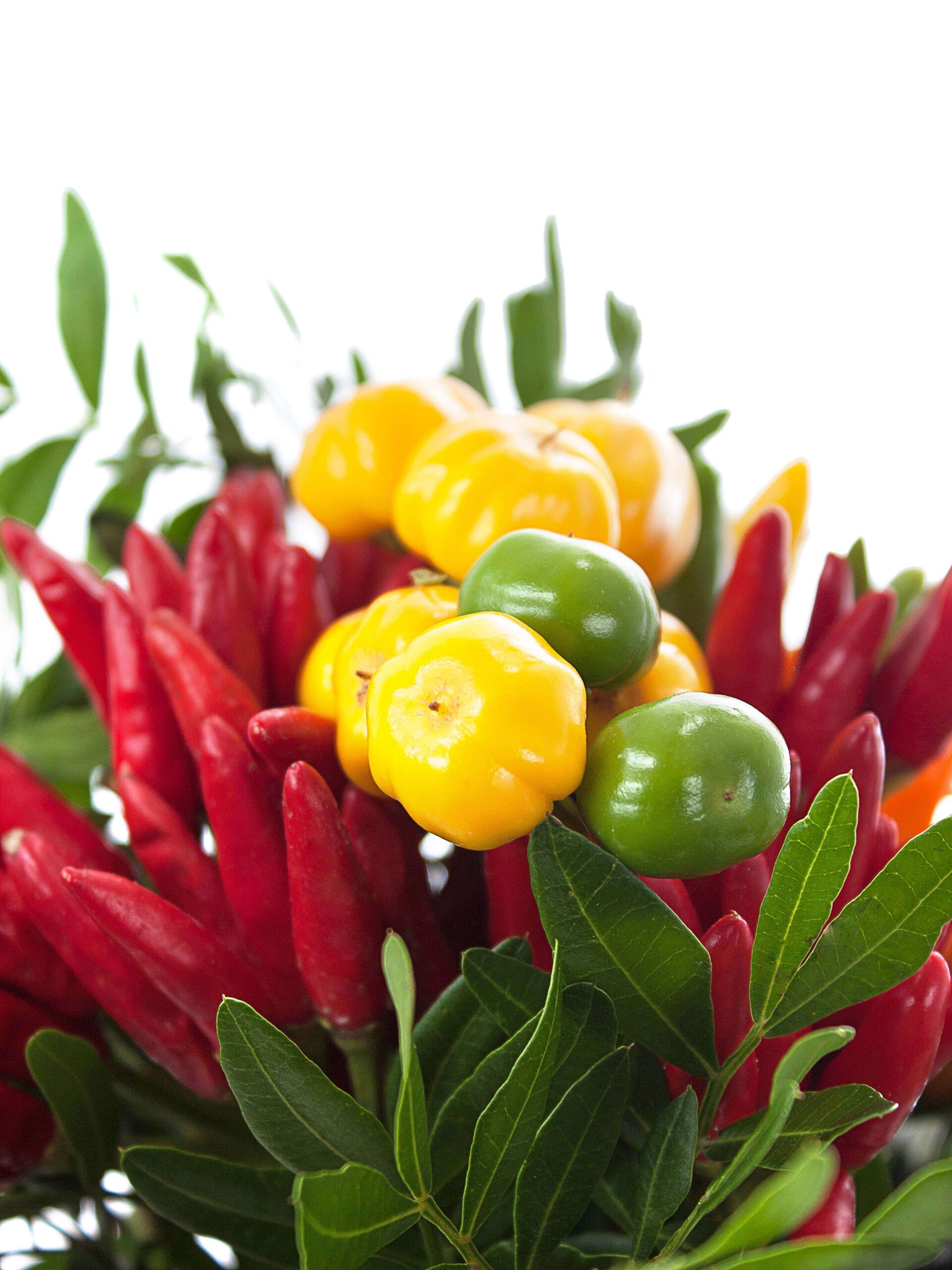 blumigo-herbstdeko-zierpaprika-bouquet-strau-verschiedene-farben image 4