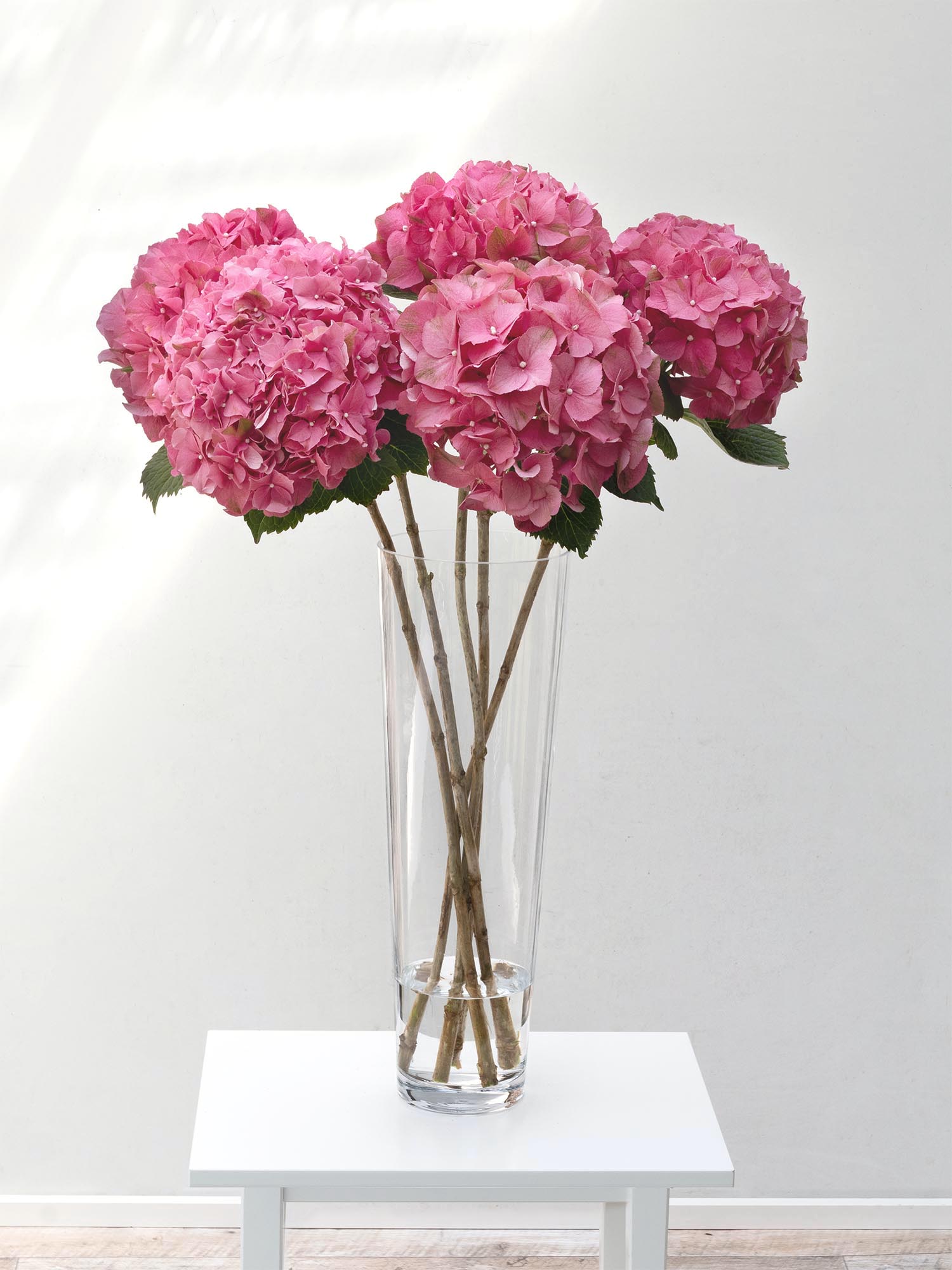 blumigo-anja-glasvase-konisch-50-cm-transparent-gro image 3