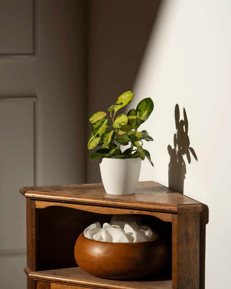 feey-lumi-kiki-topf-11cm-kunststoff-wei-blumentopf image 2