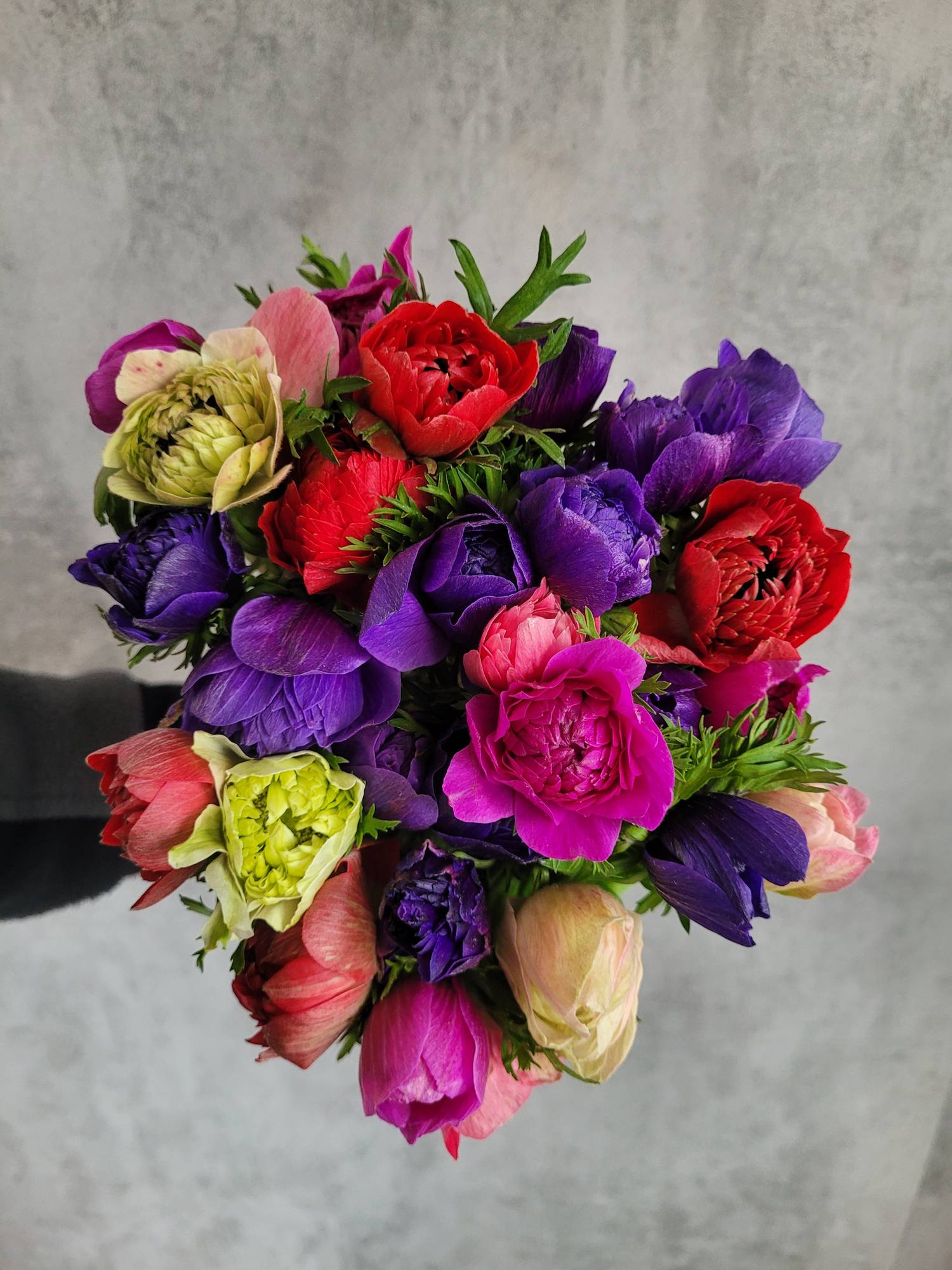 blumigo-anemonen-fullstar-mix-gemischt-schnittblumen-frisch image 7