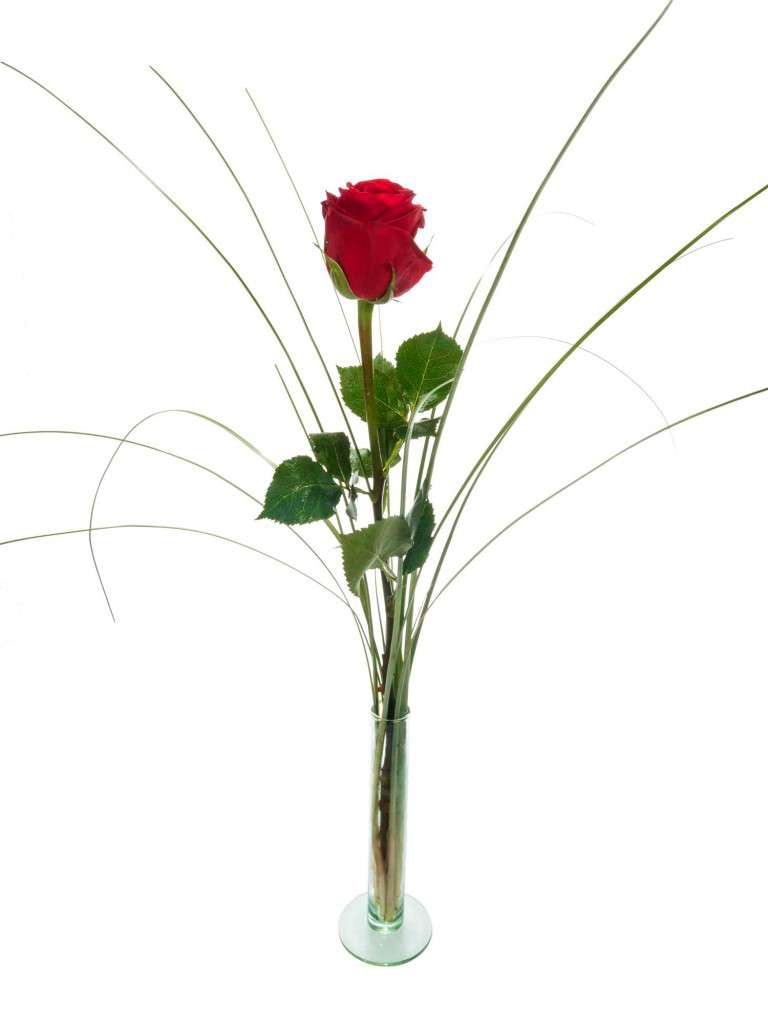 blumigo-rosen-red-naomi-rose-geschenkbox-rot image 3
