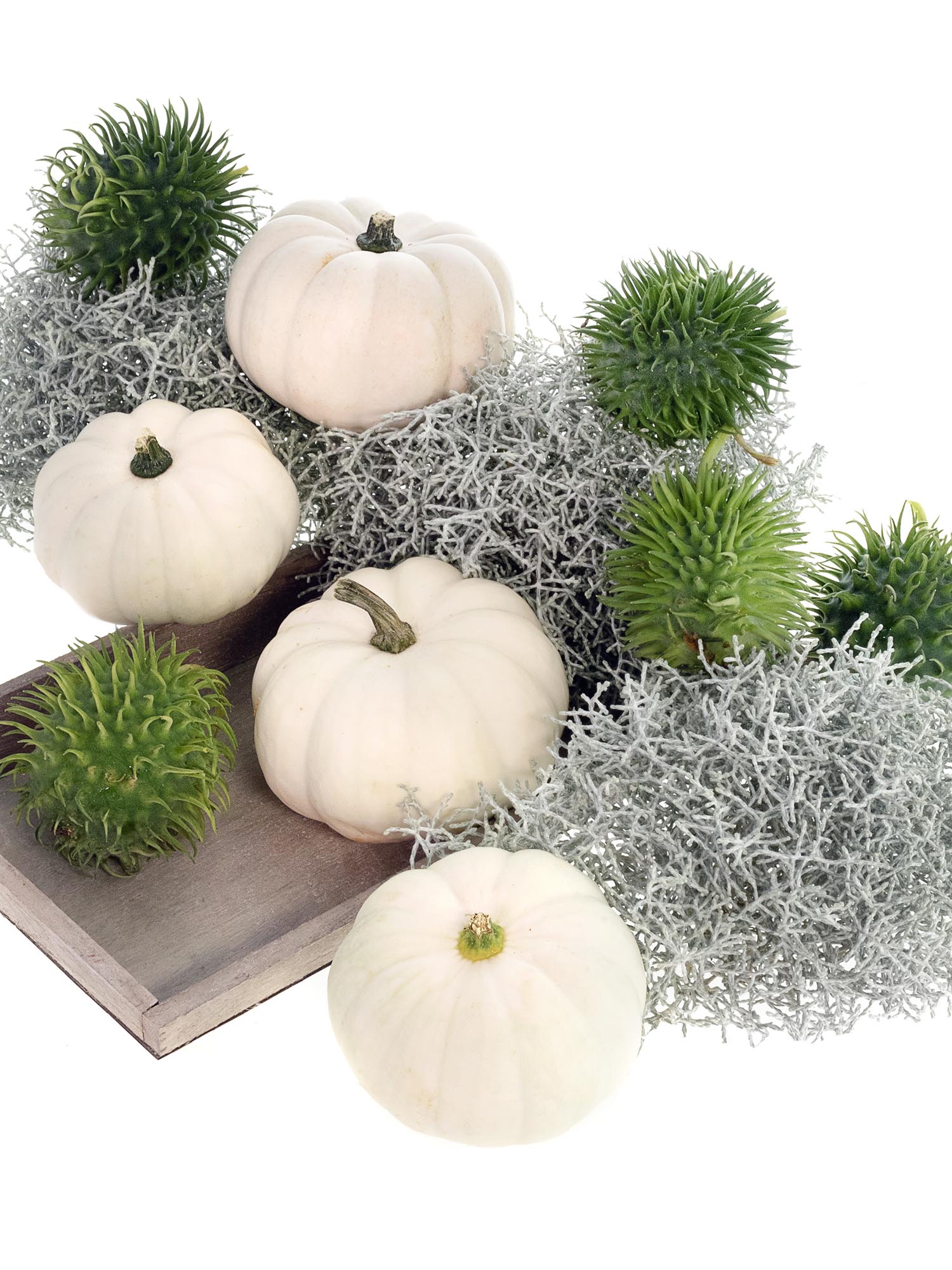 blumigo-herbstdeko-fall-in-love-mischung-herbststrau image 5