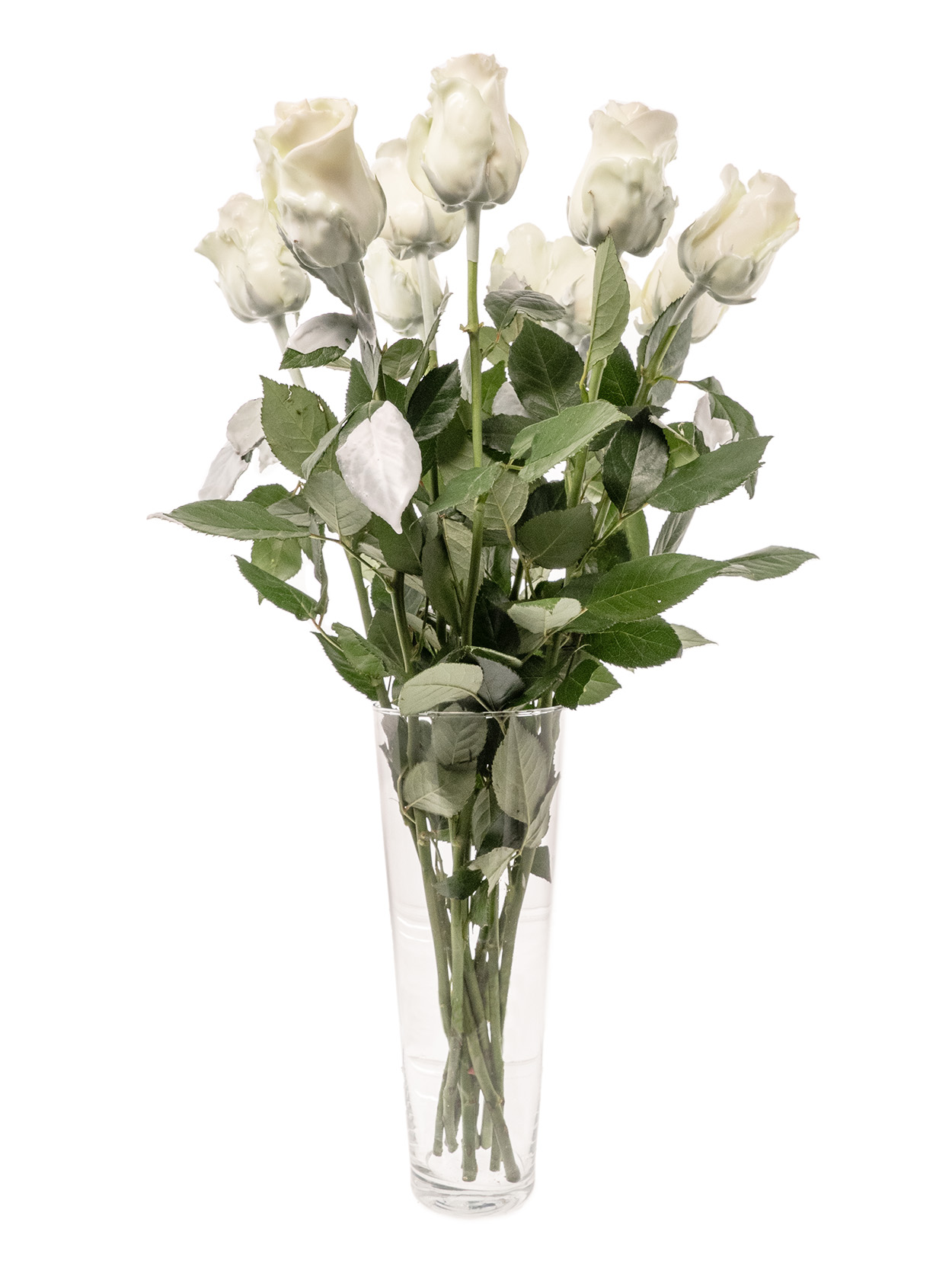 blumigo-rosen-gewachst-wachsrosen-wei-haltbar image 2