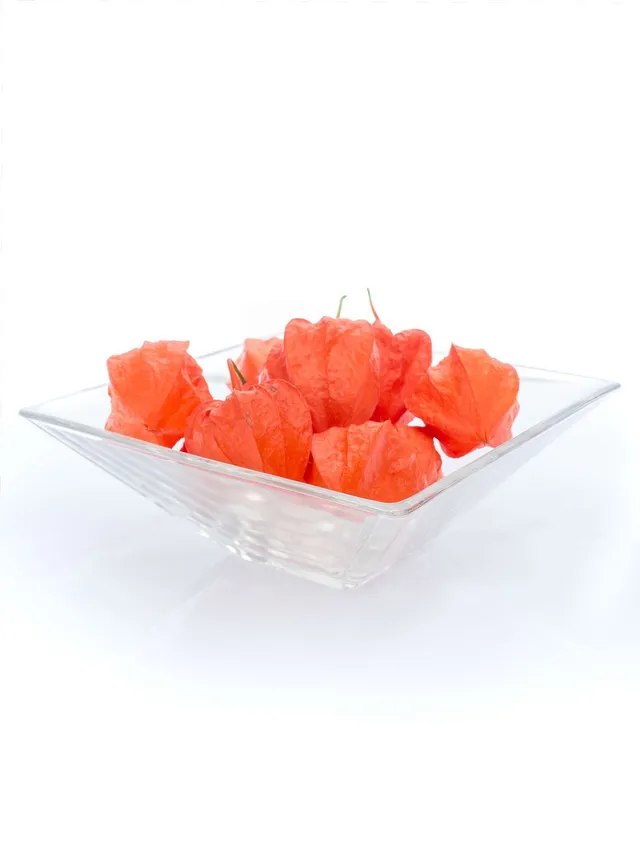 blumigo-herbstdeko-physalis-kapstachelbeere-orange-zweig image 1