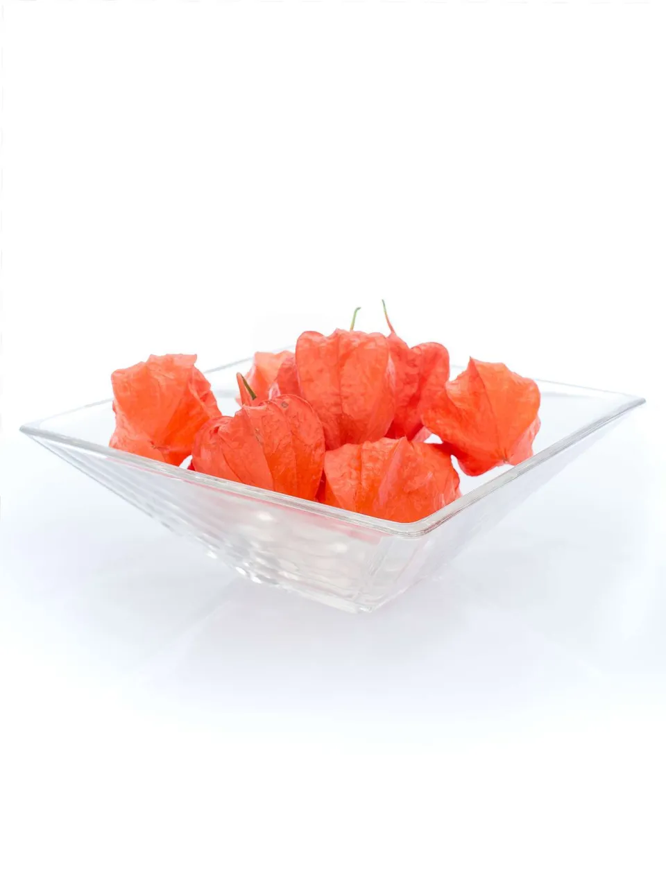 blumigo-herbstdeko-physalis-kapstachelbeere-orange-zweig image 1