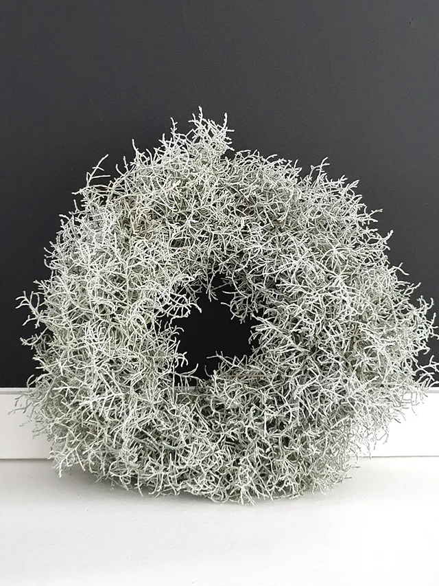 blumigo-diy-sets-stacheldrahtkranz-30-cm-selbermachen image 1