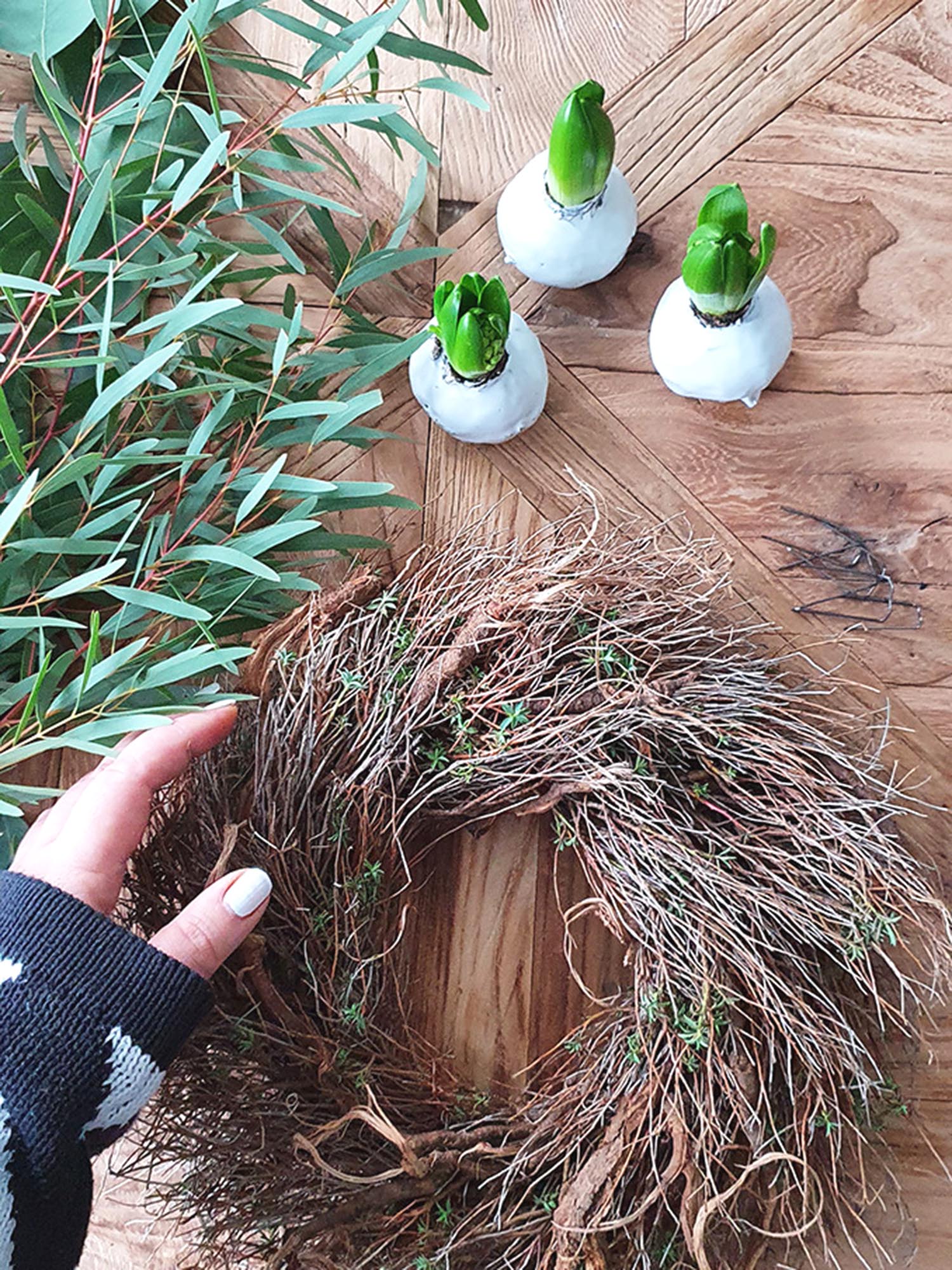 blumigo-euphorbia-spinosa-winterkranz-30-cm-diy-set image 3