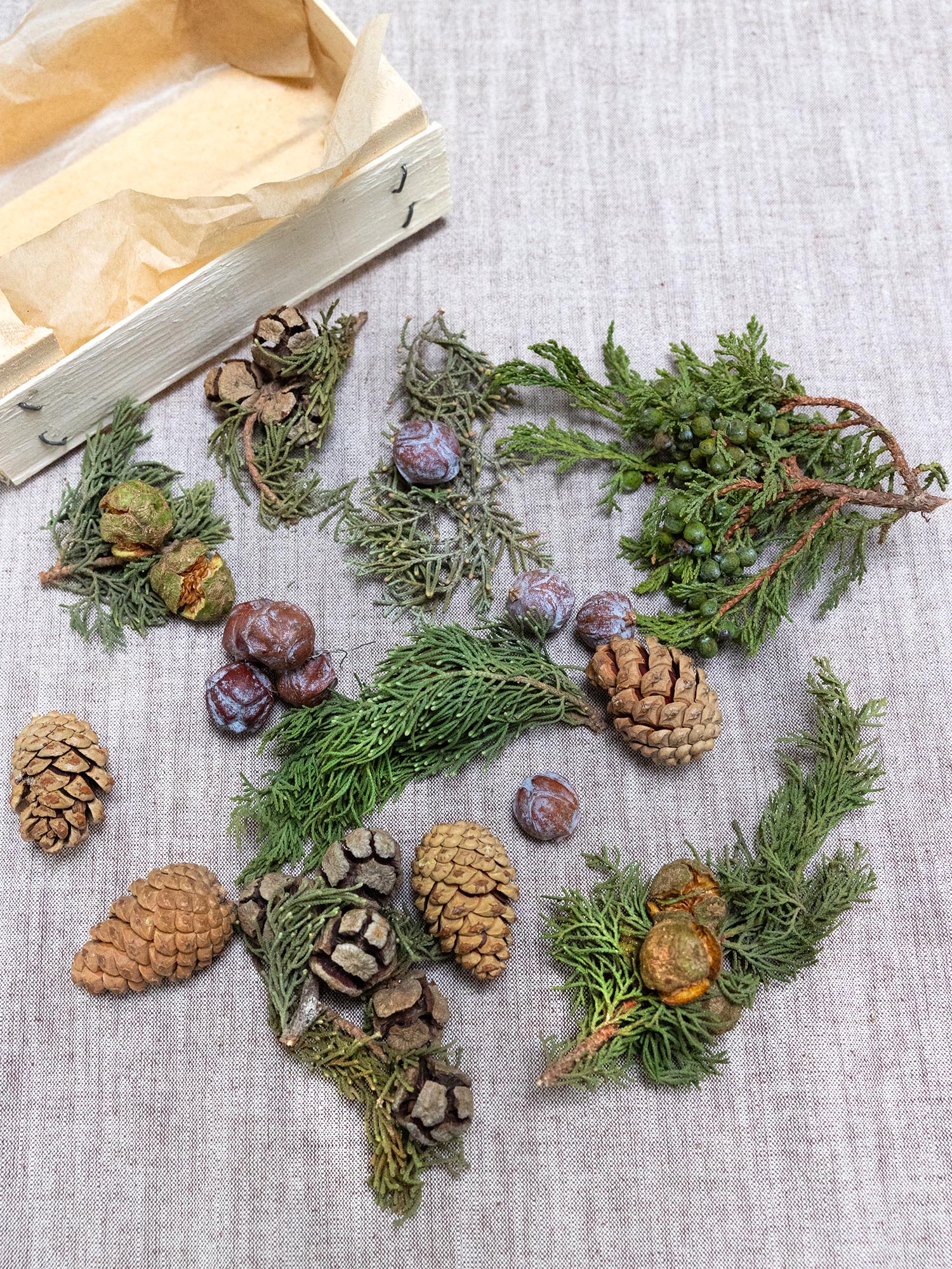 blumigo-tannengr-n-adventliche-tannen-und-zapfenmischung-deko-1-bund image 2
