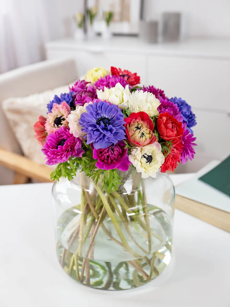 blumigo-anemonen-fullstar-mix-gemischt-schnittblumen-frisch image 1