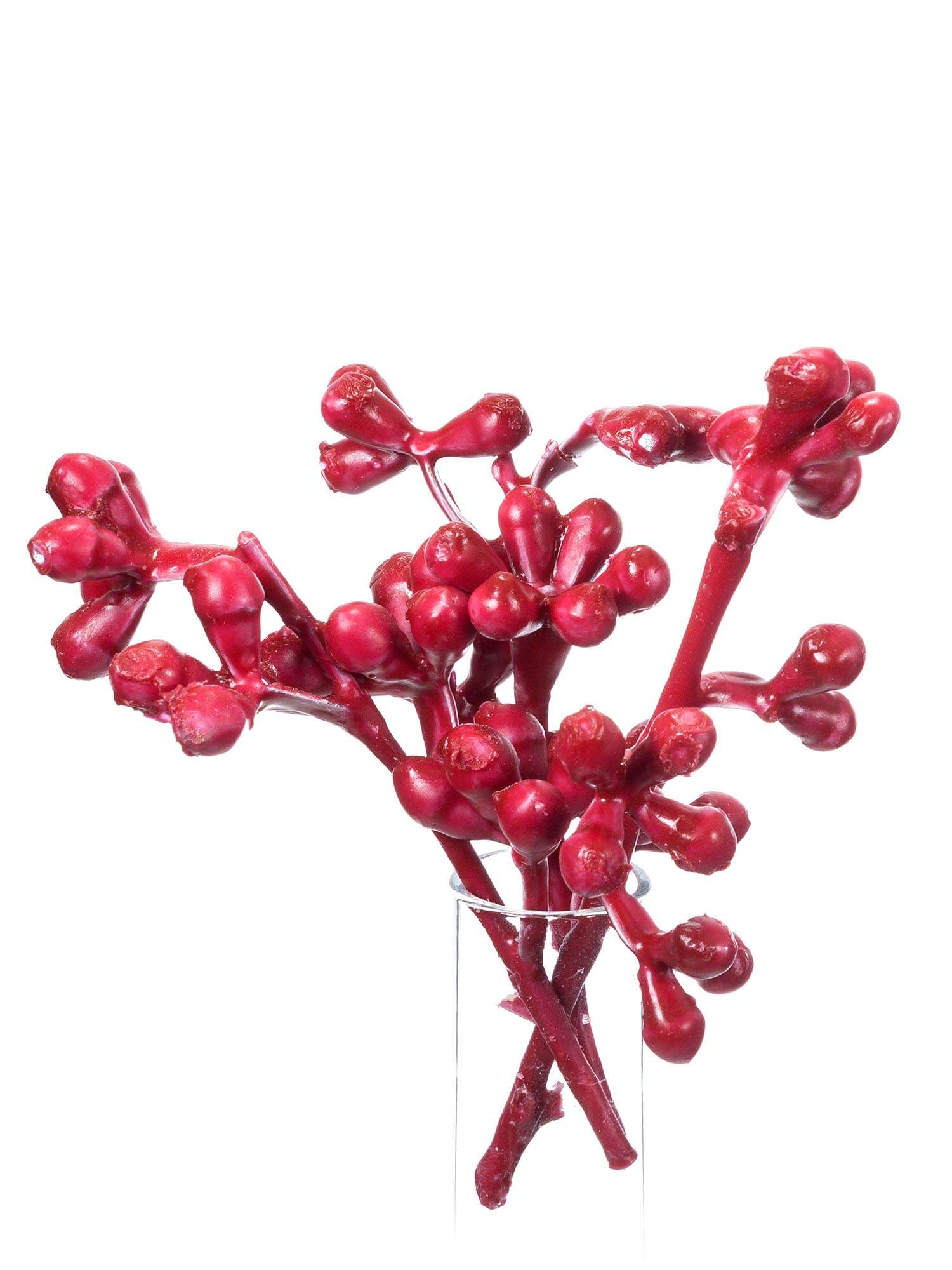 blumigo-eukalyptus-gewachste-eukalyptusbeeren-zweige-bunt image 2
