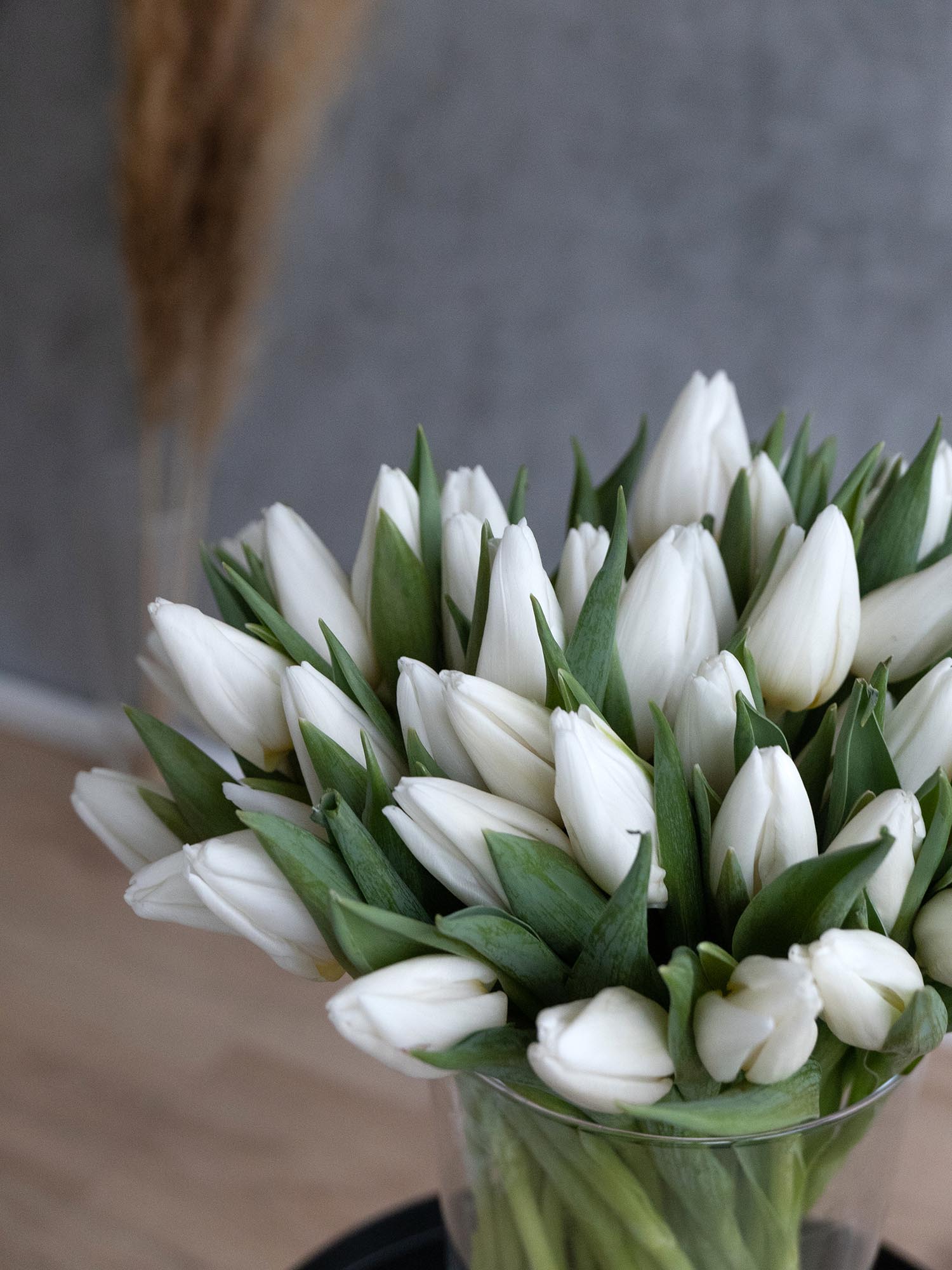 blumigo-tulpen-white-prince-wei-e-schnittblume image 5