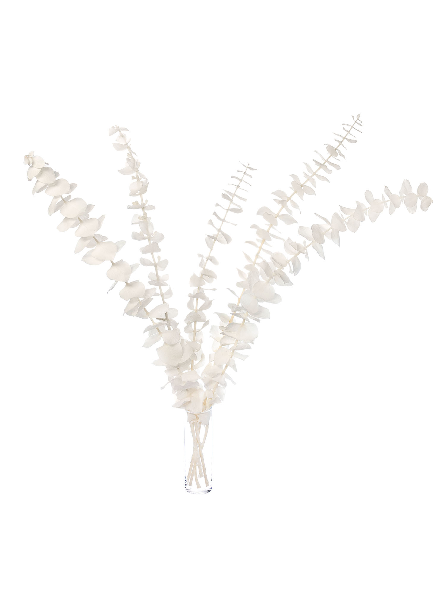 blumigo-trockenblumen-eukalyptus-baby-blue-wei-bund image 2