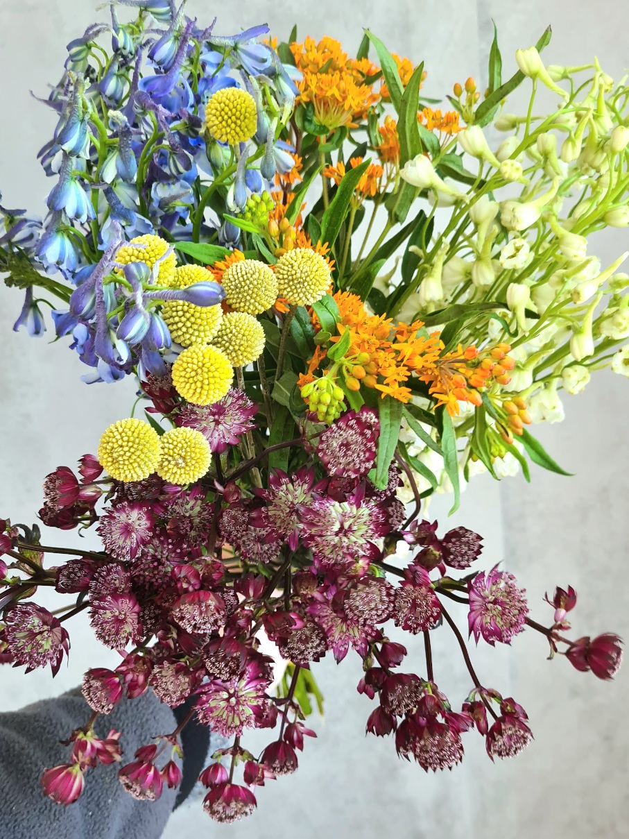 blumigo-fr-hsommer-mix-berraschungsstrau-saisonal image 2