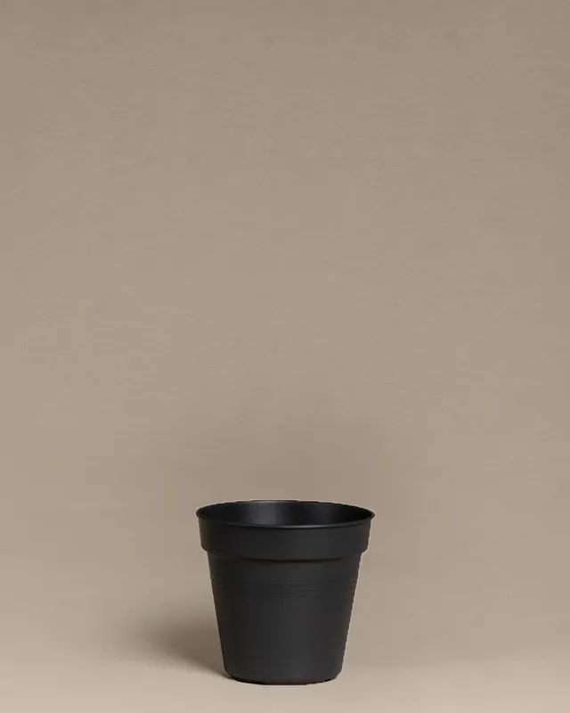 feey-amsterdam-innentopf-10-5-cm-kunststoff-umtopfen image 1