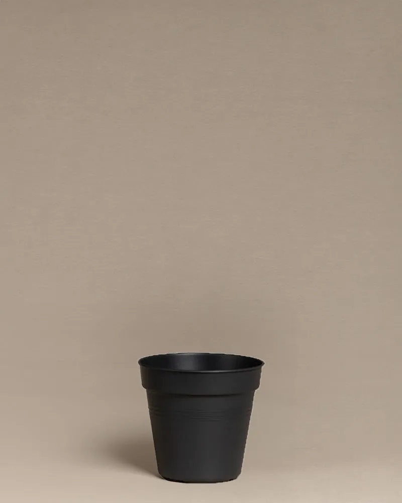feey-amsterdam-innentopf-10-5-cm-kunststoff-umtopfen image 1