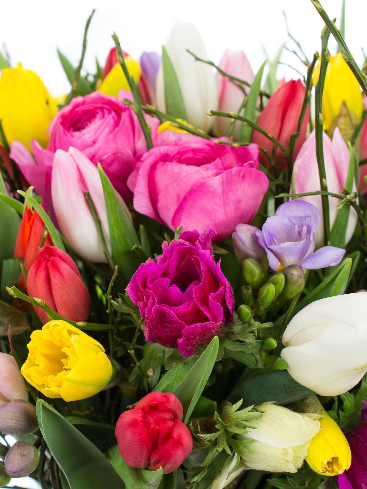 blumigo-fr-hlingsmix-xxl-blumenstrau-100-stiele-bunt image 6