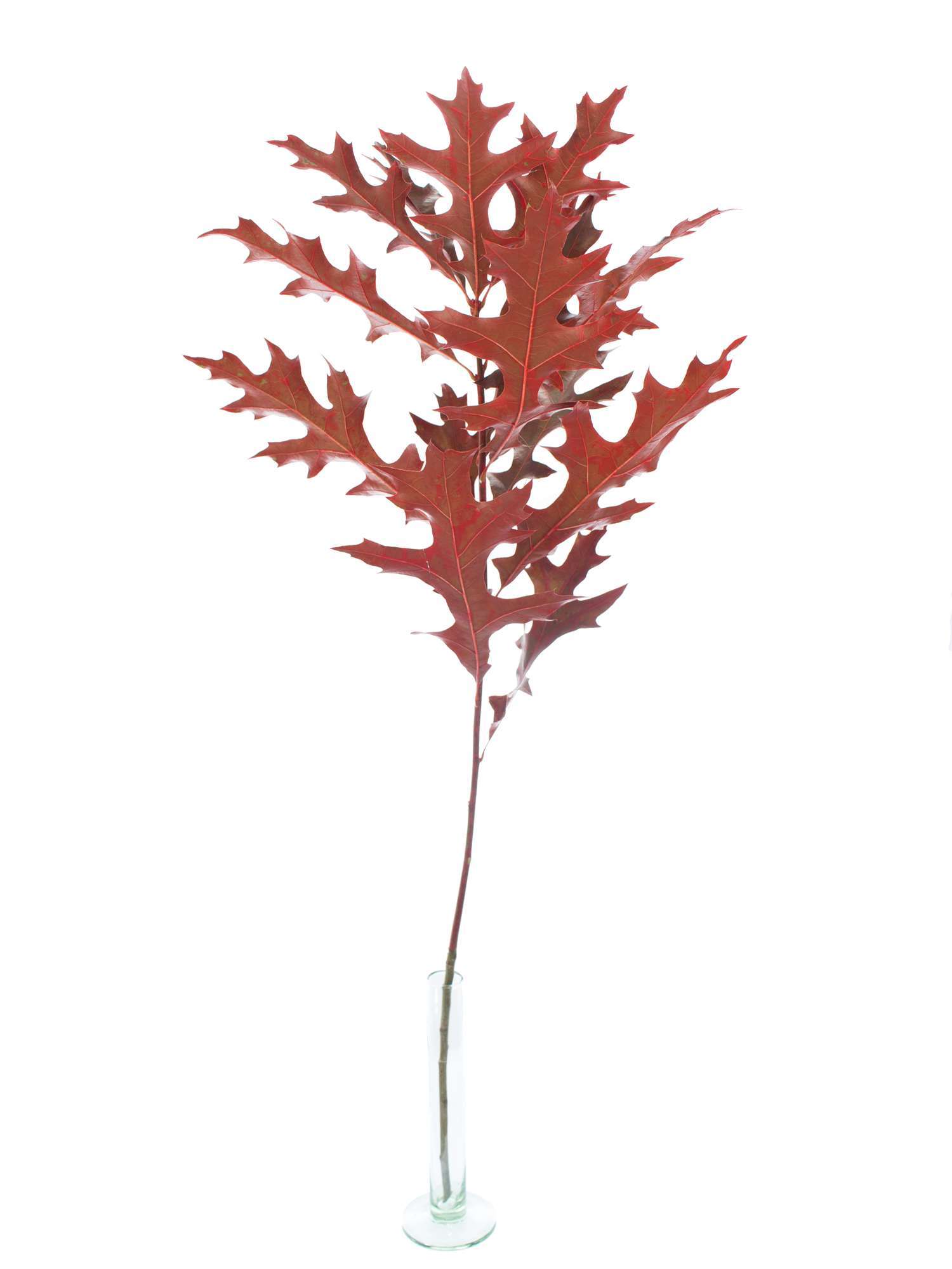 blumigo-bindegr-n-eichenbl-tter-painted-rot-deko image 3