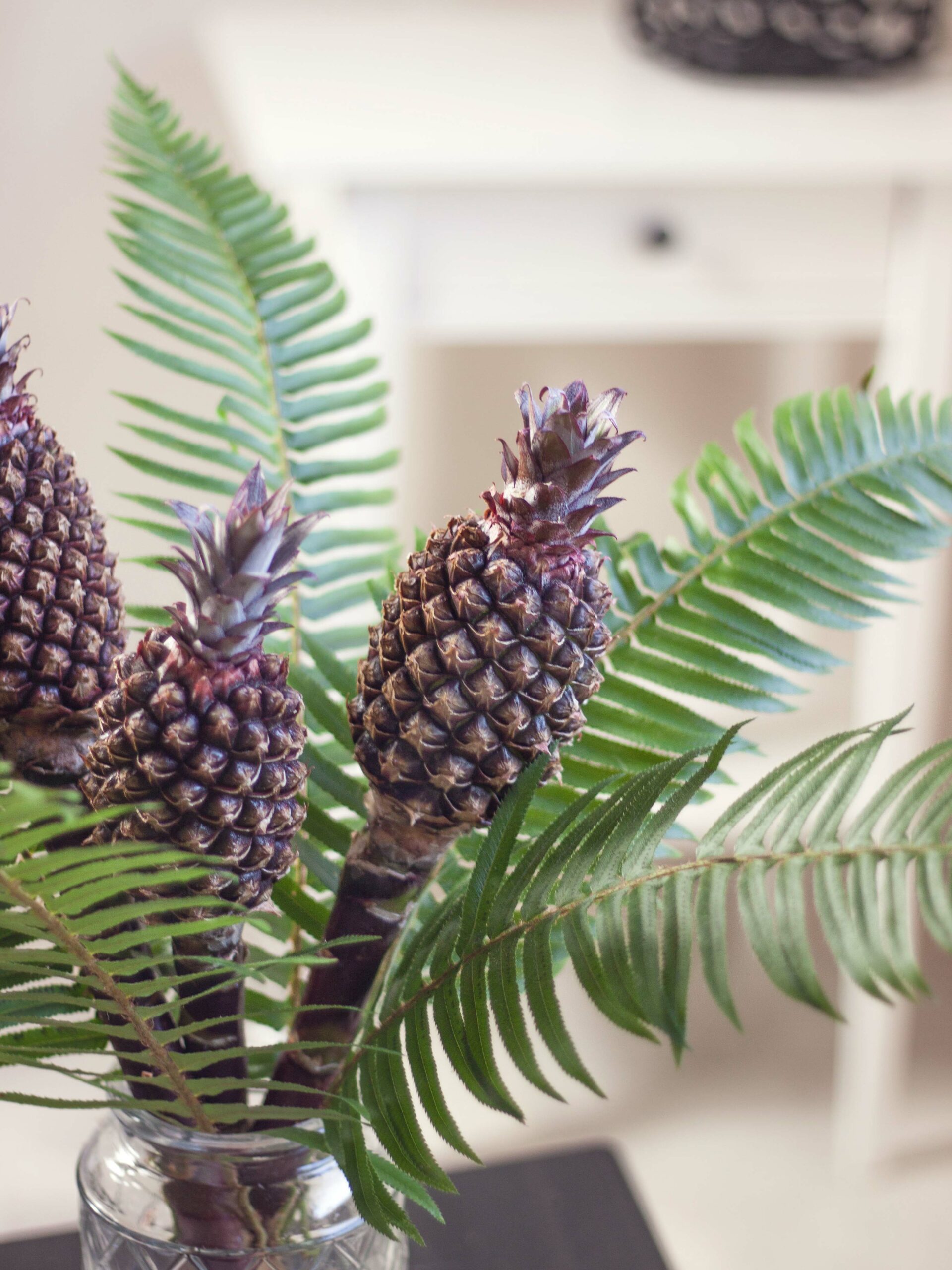 blumigo-herbstdeko-zierananas-schwarz-braun-frucht image 2