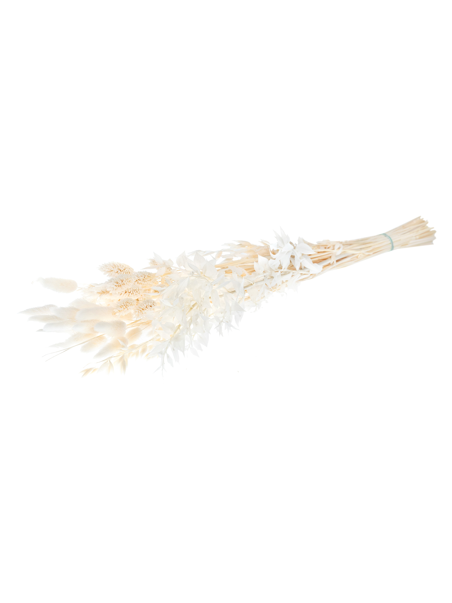 blumigo-trockenblumen-bleached-mix-trockenblumen-gebleicht image 4