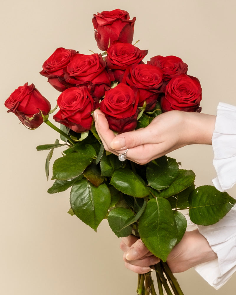 rilio-rote-rosen-5-stk-frischer-rosenstrauss image 1