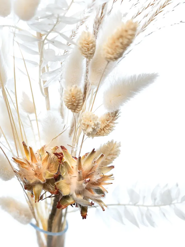 blumigo-trockenblumen-mini-mix-creme-wei-deko image 1