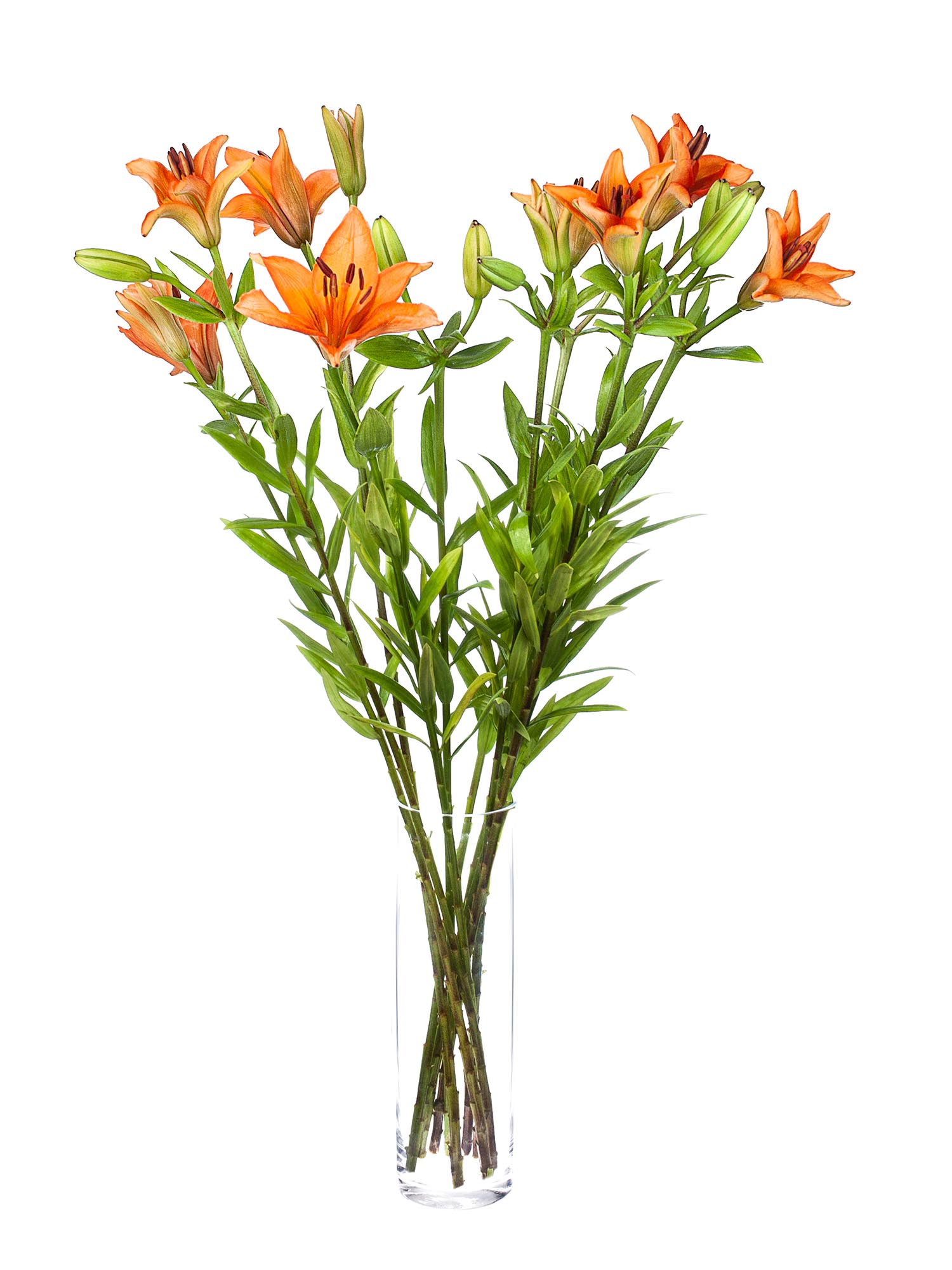 blumigo-lilien-millburn-schnittblumen-orange image 2