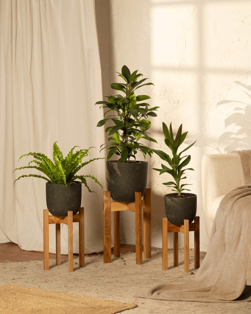 feey-stelion-pflanzenst-nder-holz-18-cm-braun-topfst-nder image 5