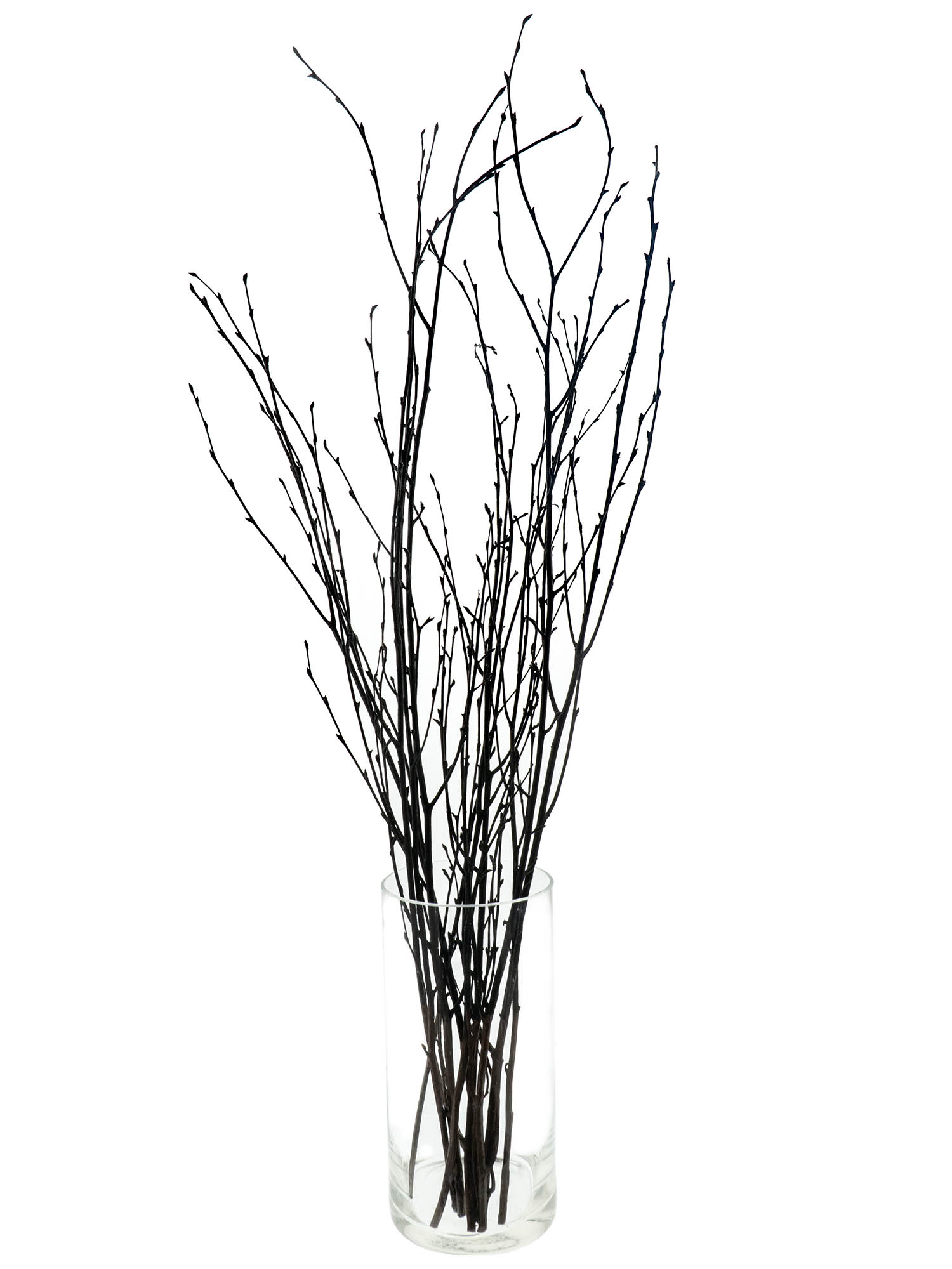blumigo-birkenzweige-zweige-schwarz-gef-rbt image 3
