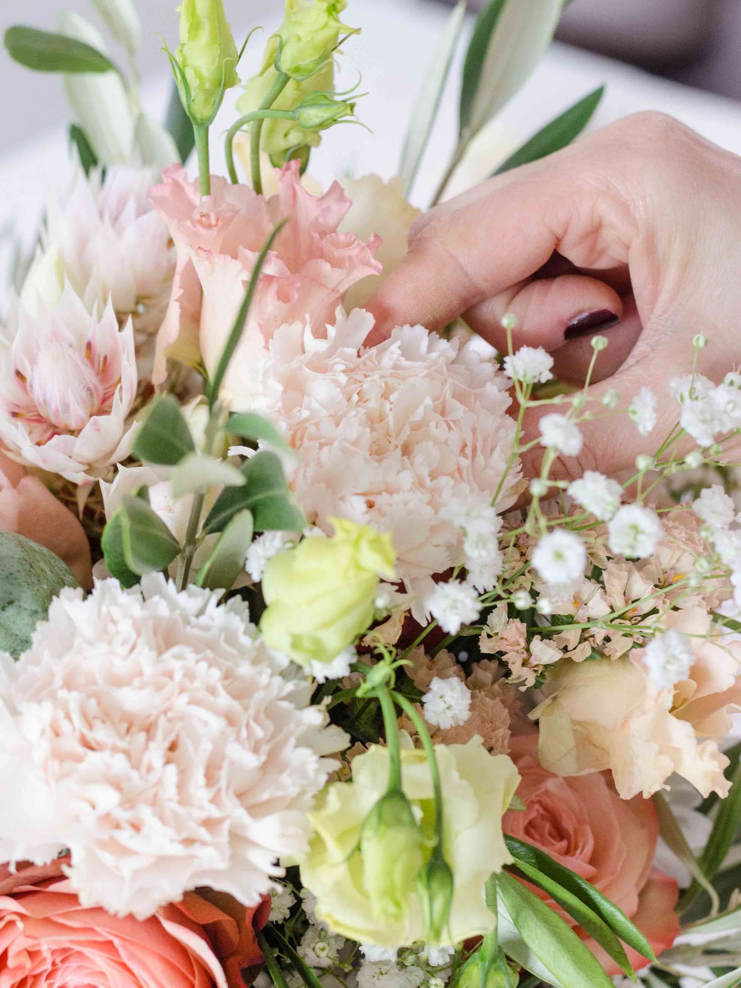 blumigo-brut-edelnelke-creme-apricot-frische-schnittblume image 3