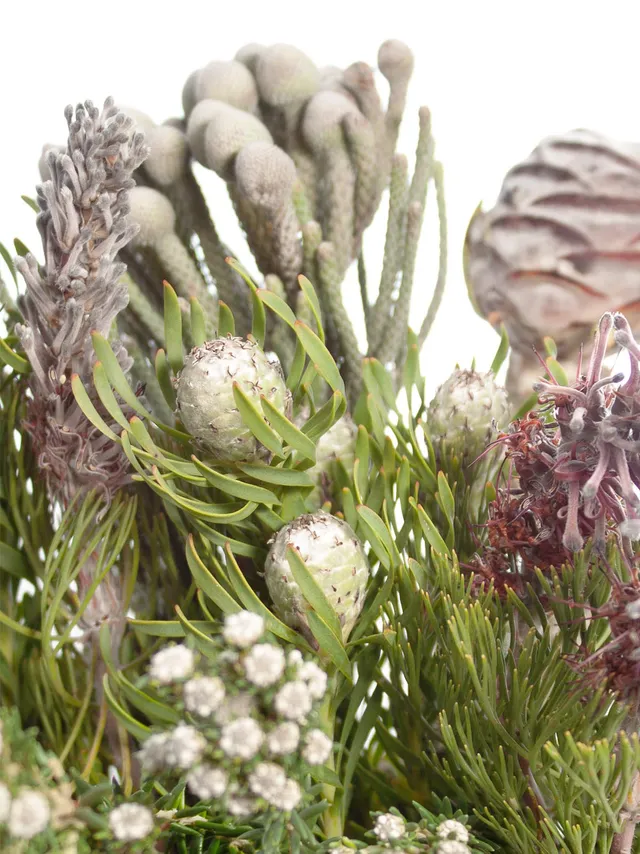 blumigo-s-dafrikanische-blumenmischung-strau-berraschungsmix image 1