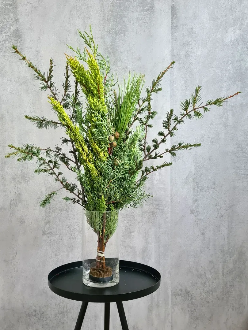 blumigo-winterliches-gr-n-pinus-meets-zeder-bund-gr-n image 1